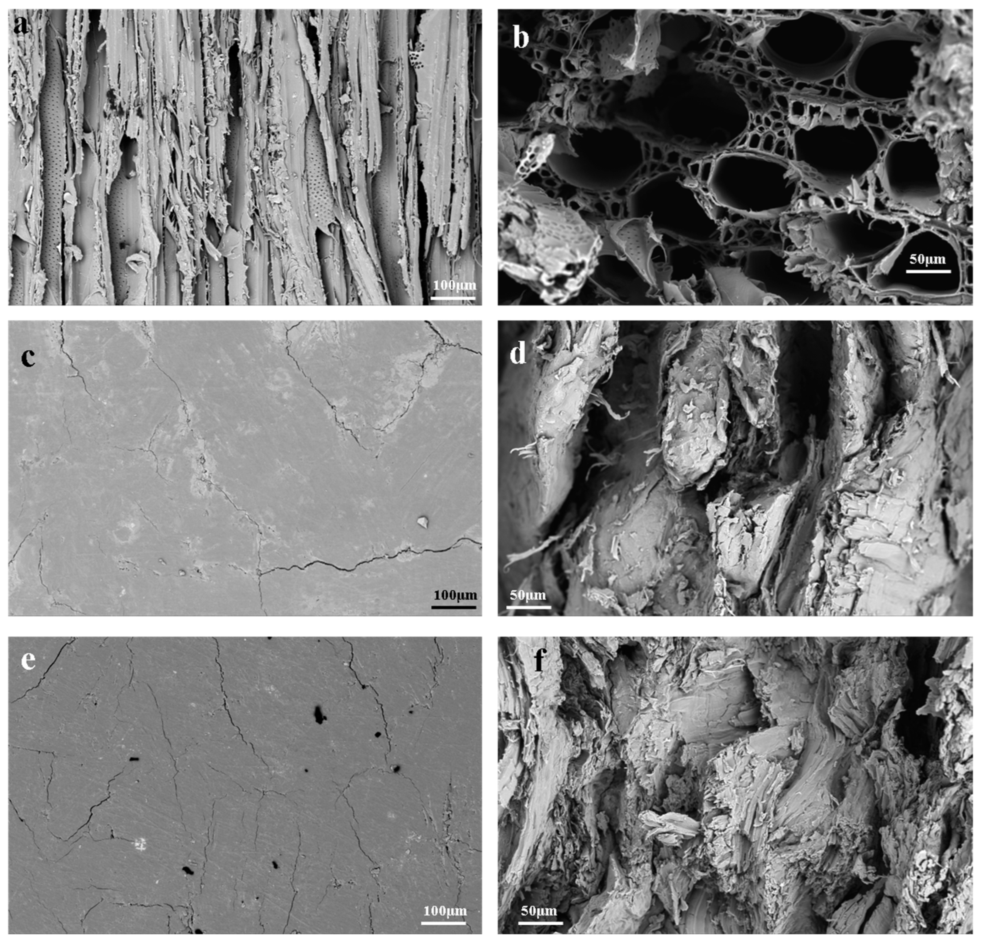 Polymers 14 03636 g005