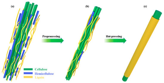 Polymers | Free Full-Text | New Poplar-Derived Biocomposites Via Single ...