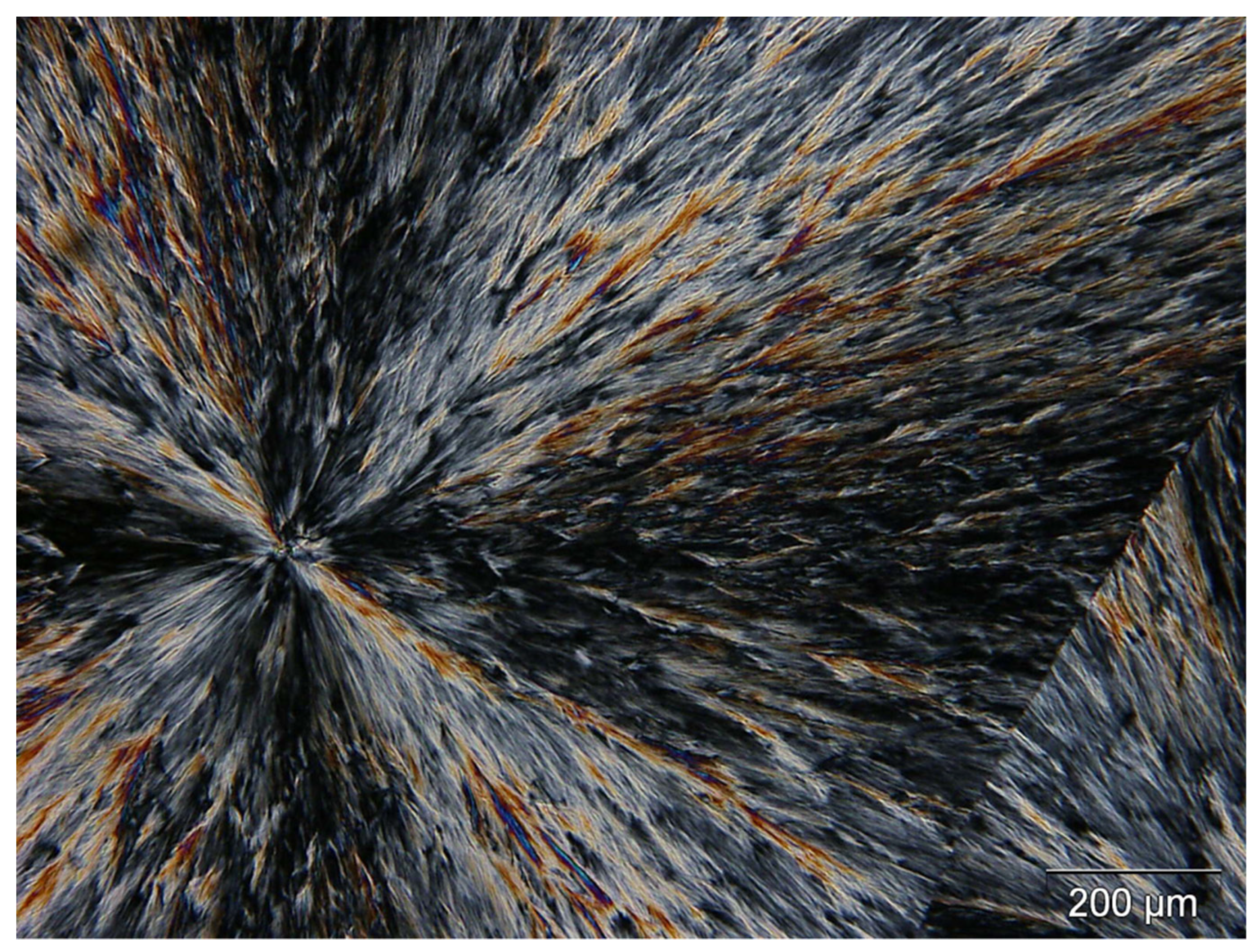 Polymers 14 03639 g003