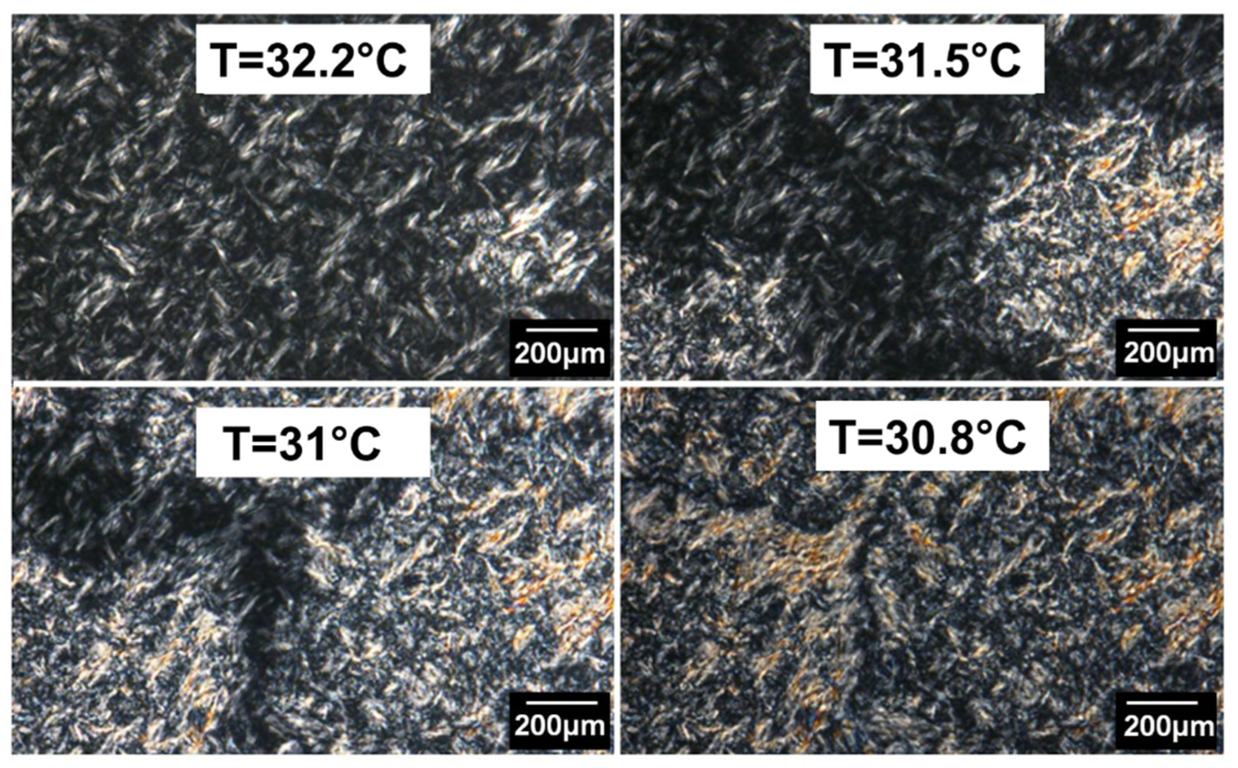 Polymers 14 03639 g014