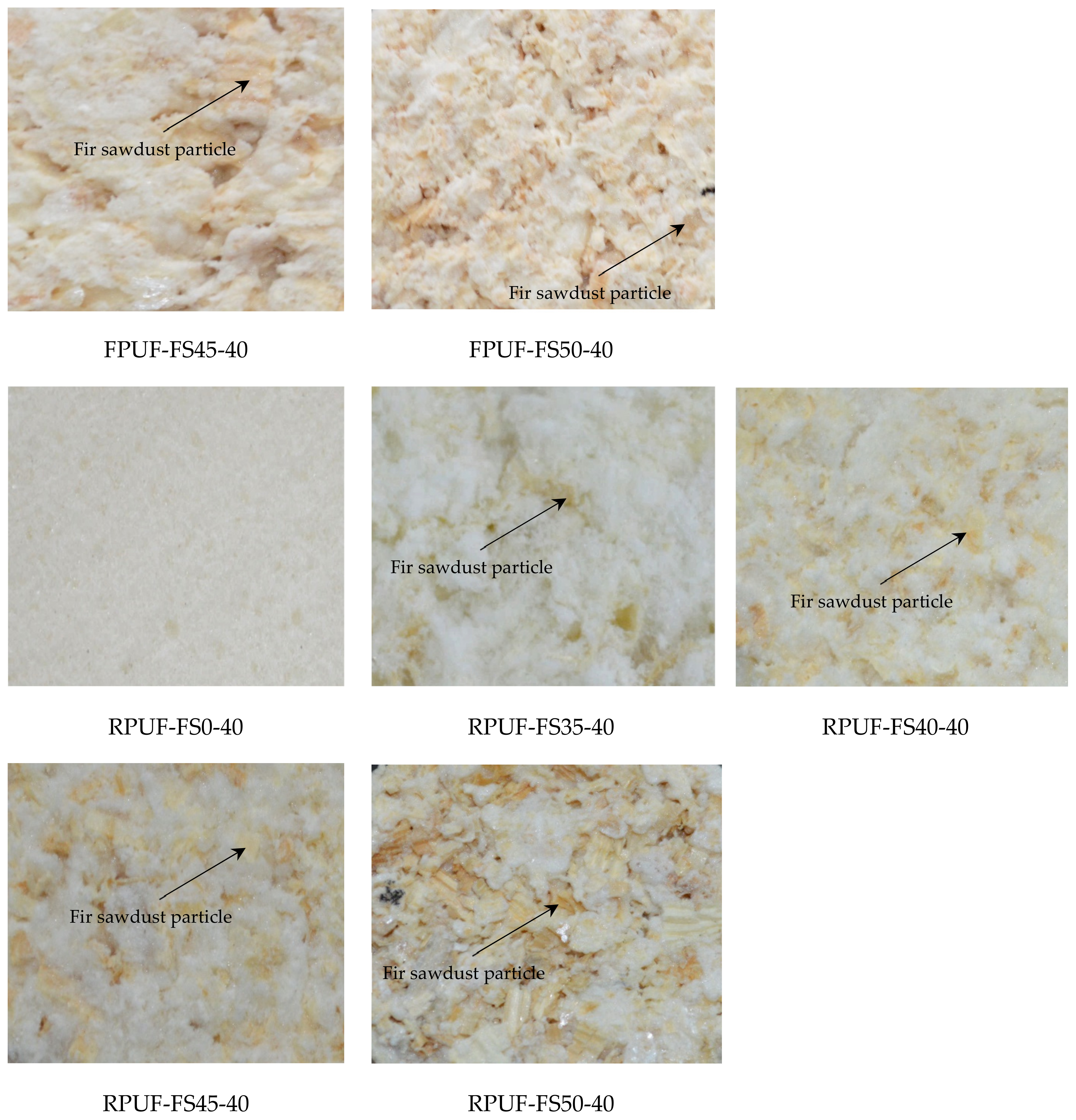 Polymers 14 03643 g003b