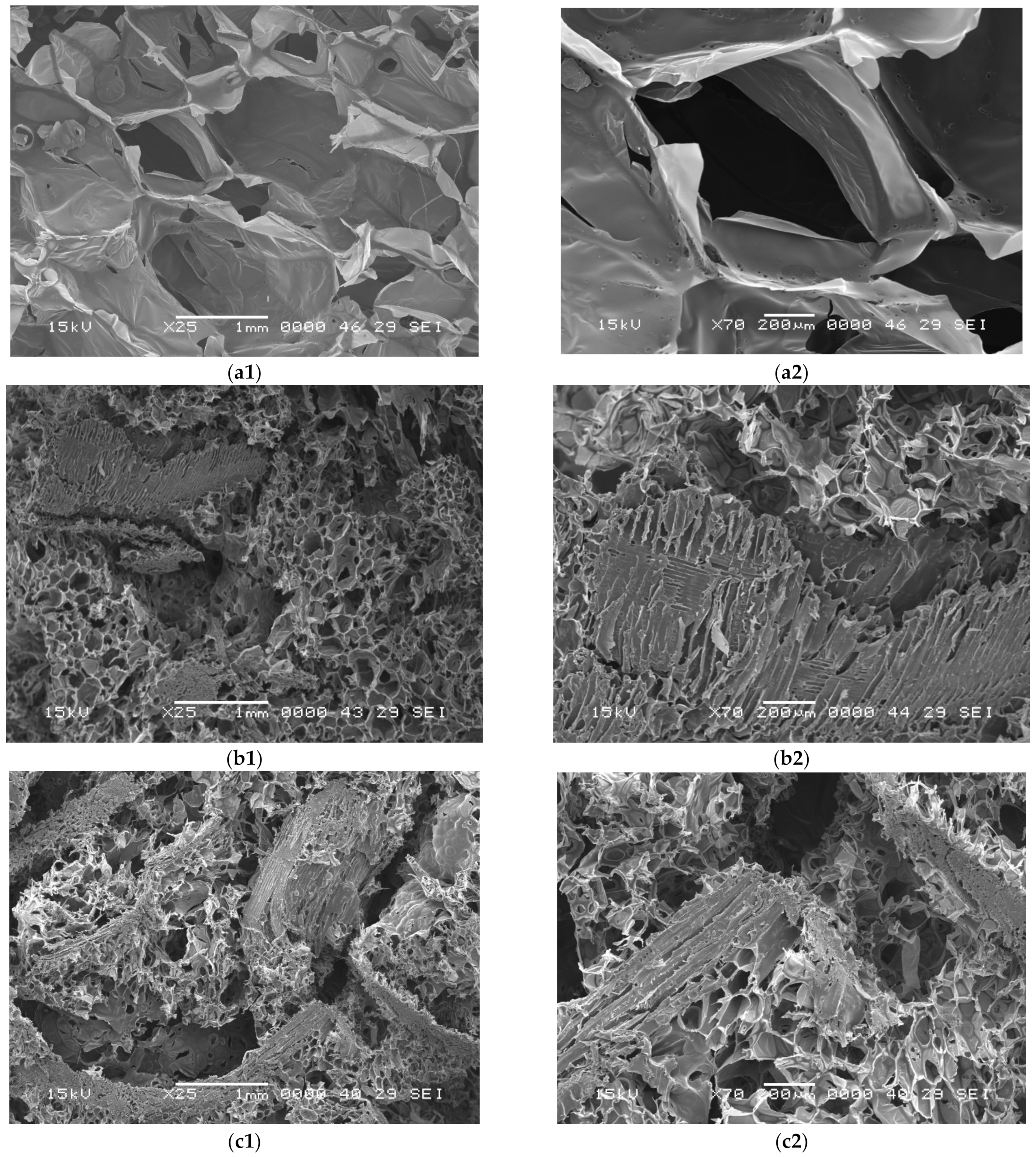 Polymers 14 03643 g004