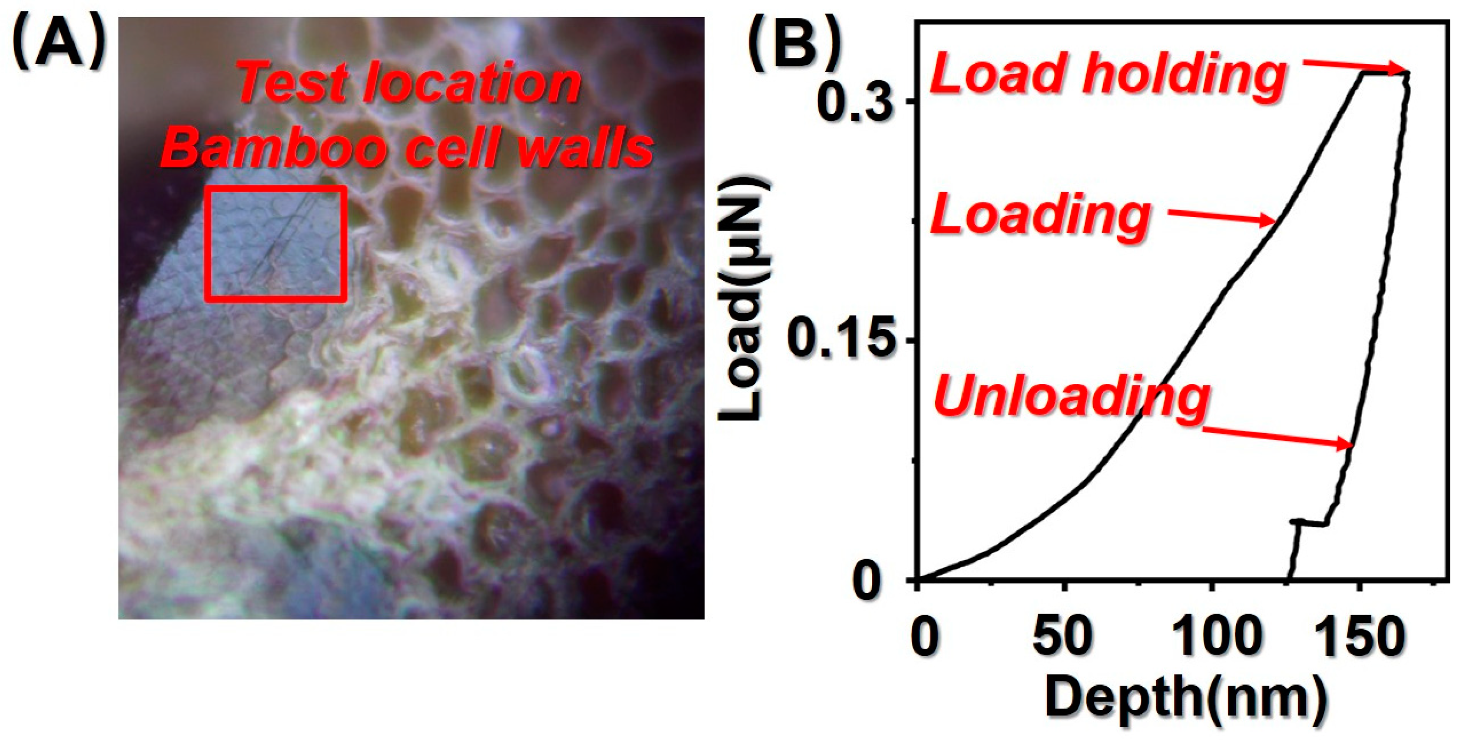 Polymers 14 03644 g002