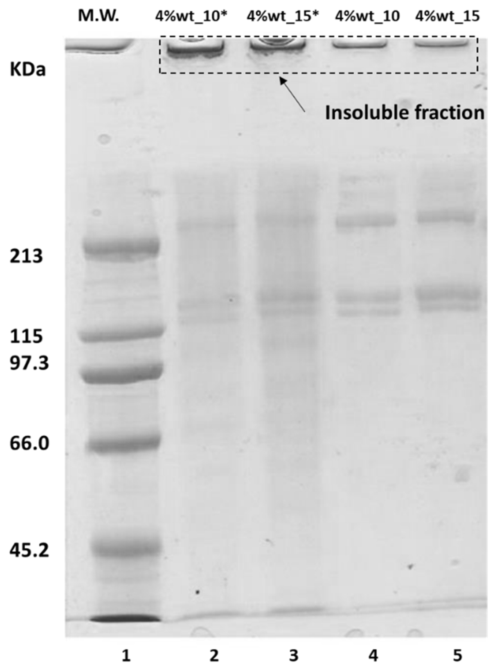 Polymers 14 03683 g008