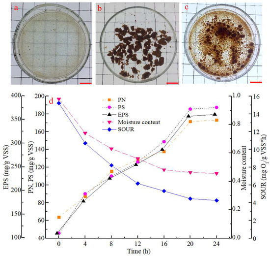 Polymers | Free Full-Text | Fast Granulation by Combining External ...