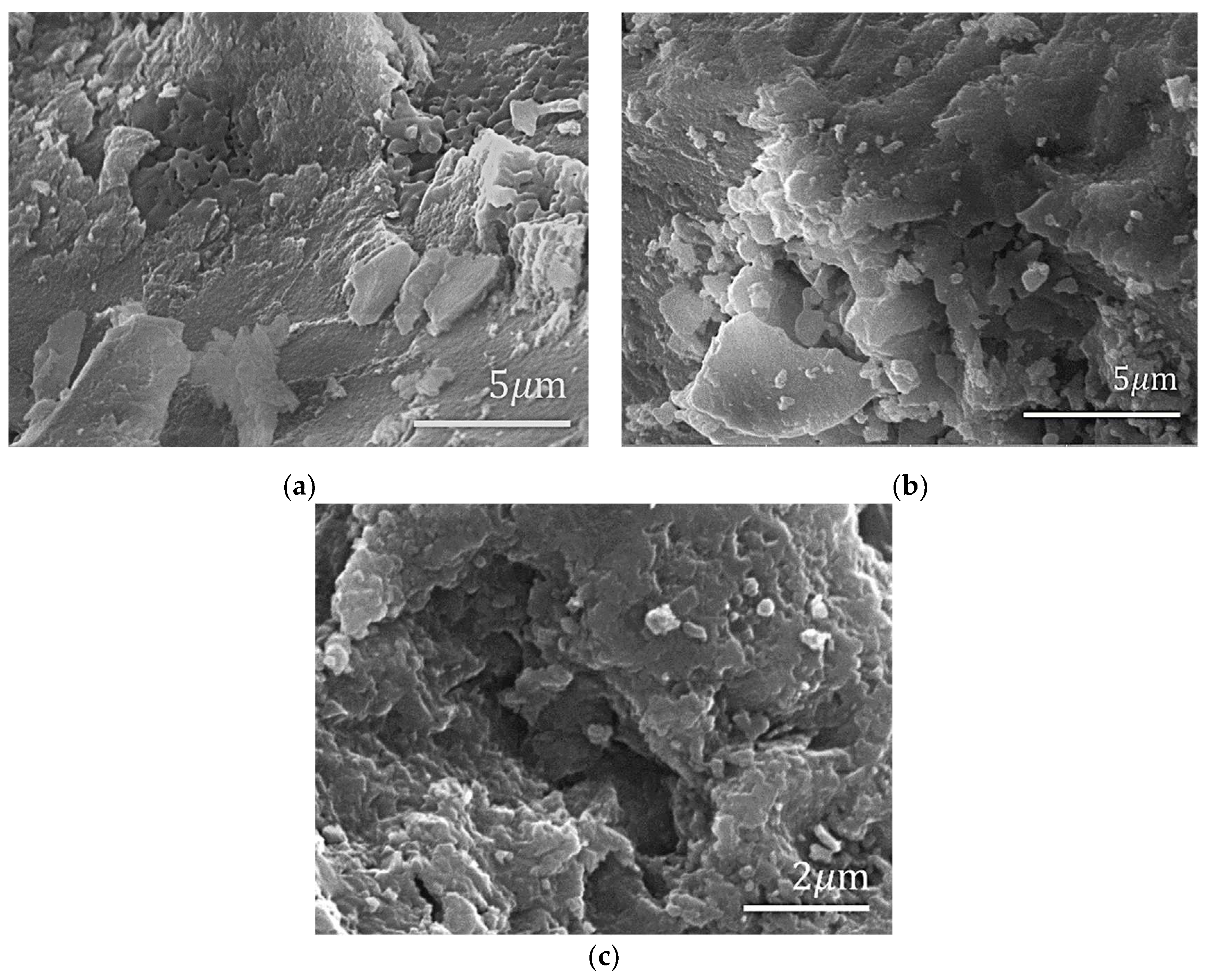 Polymers 14 03689 g002