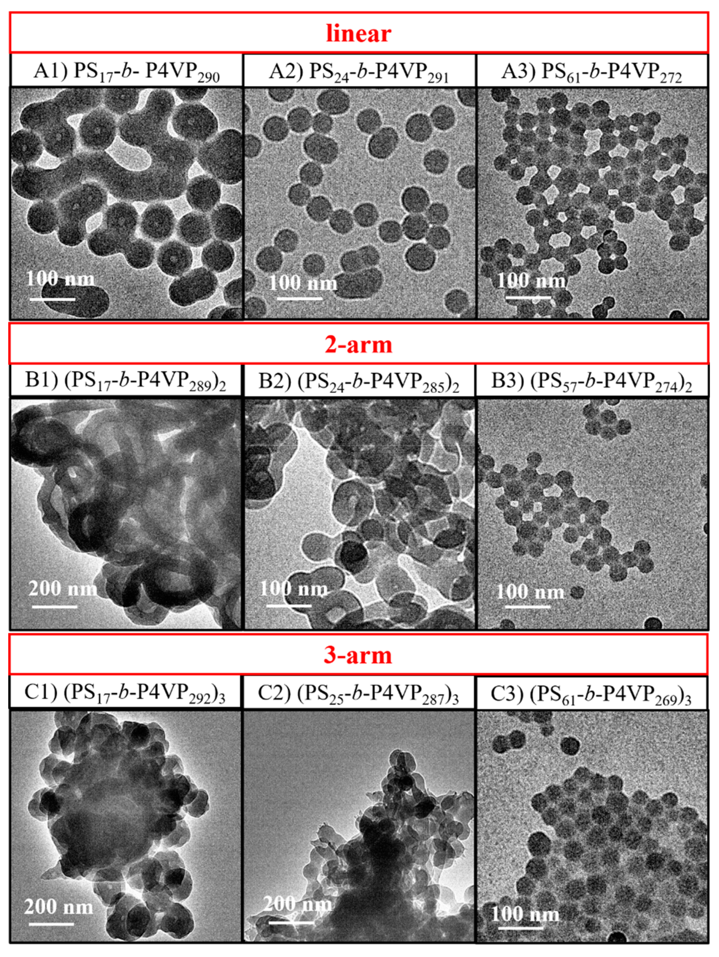 Polymers 14 03691 g003a