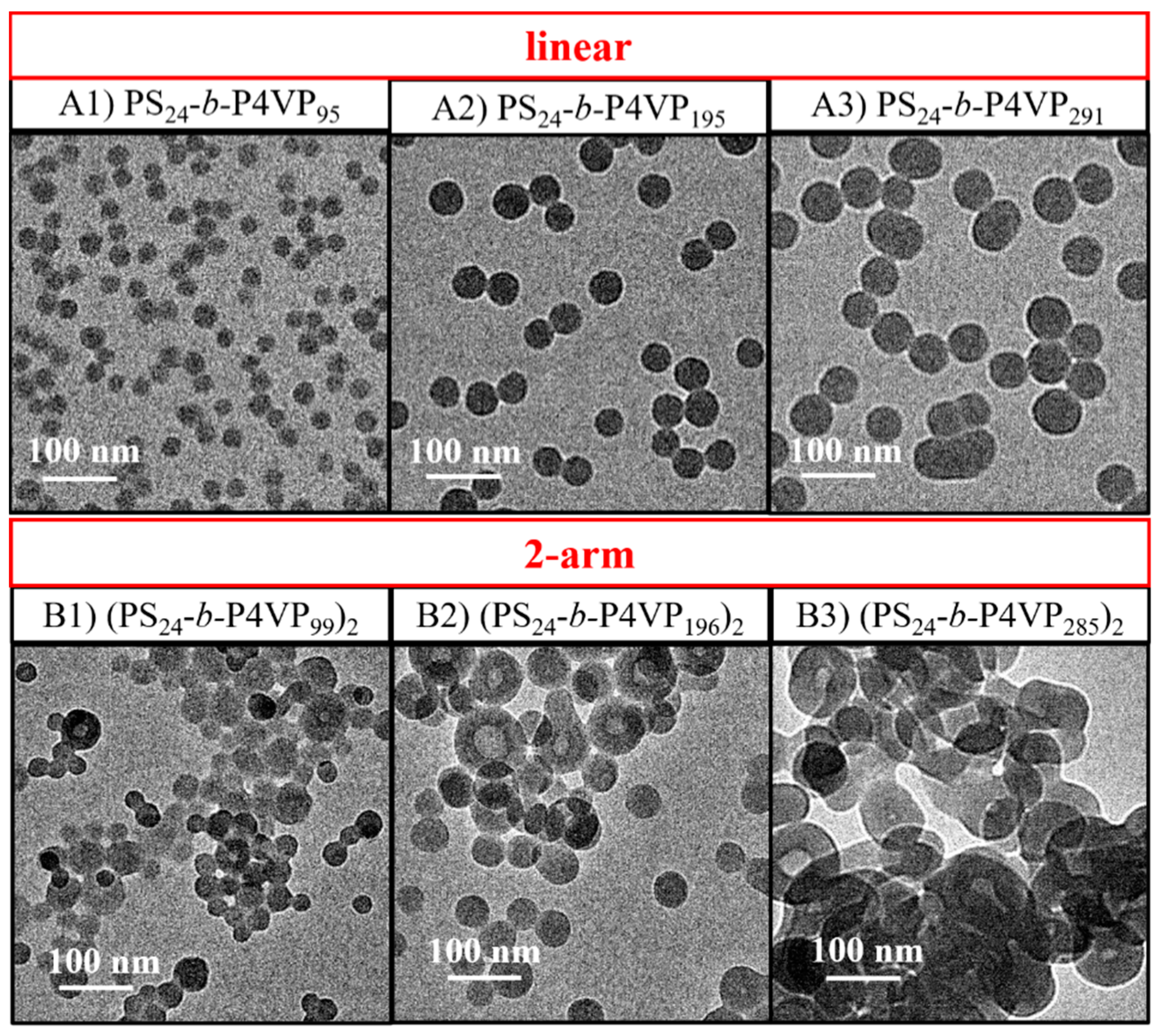 Polymers 14 03691 g004a