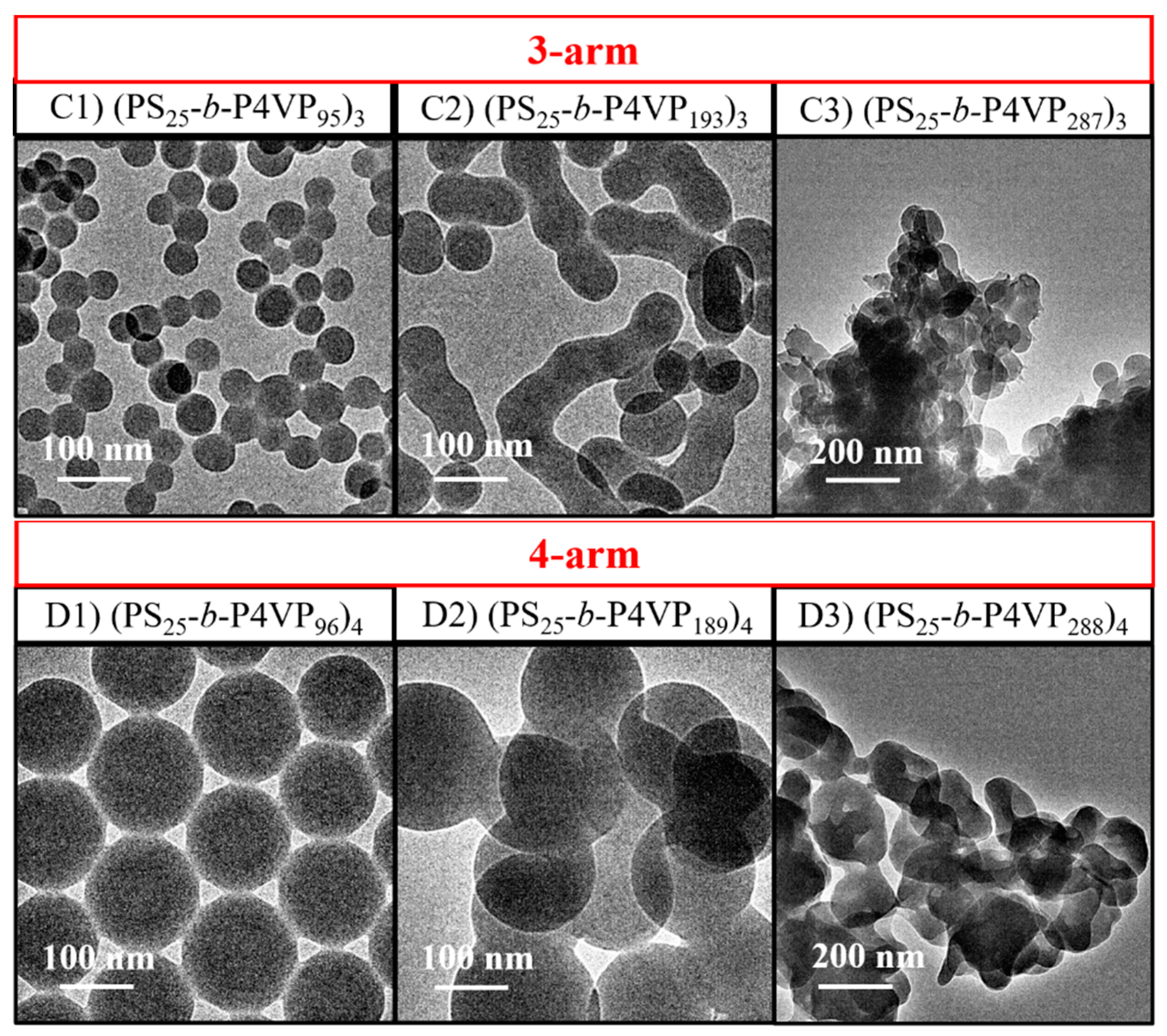 Polymers 14 03691 g004b