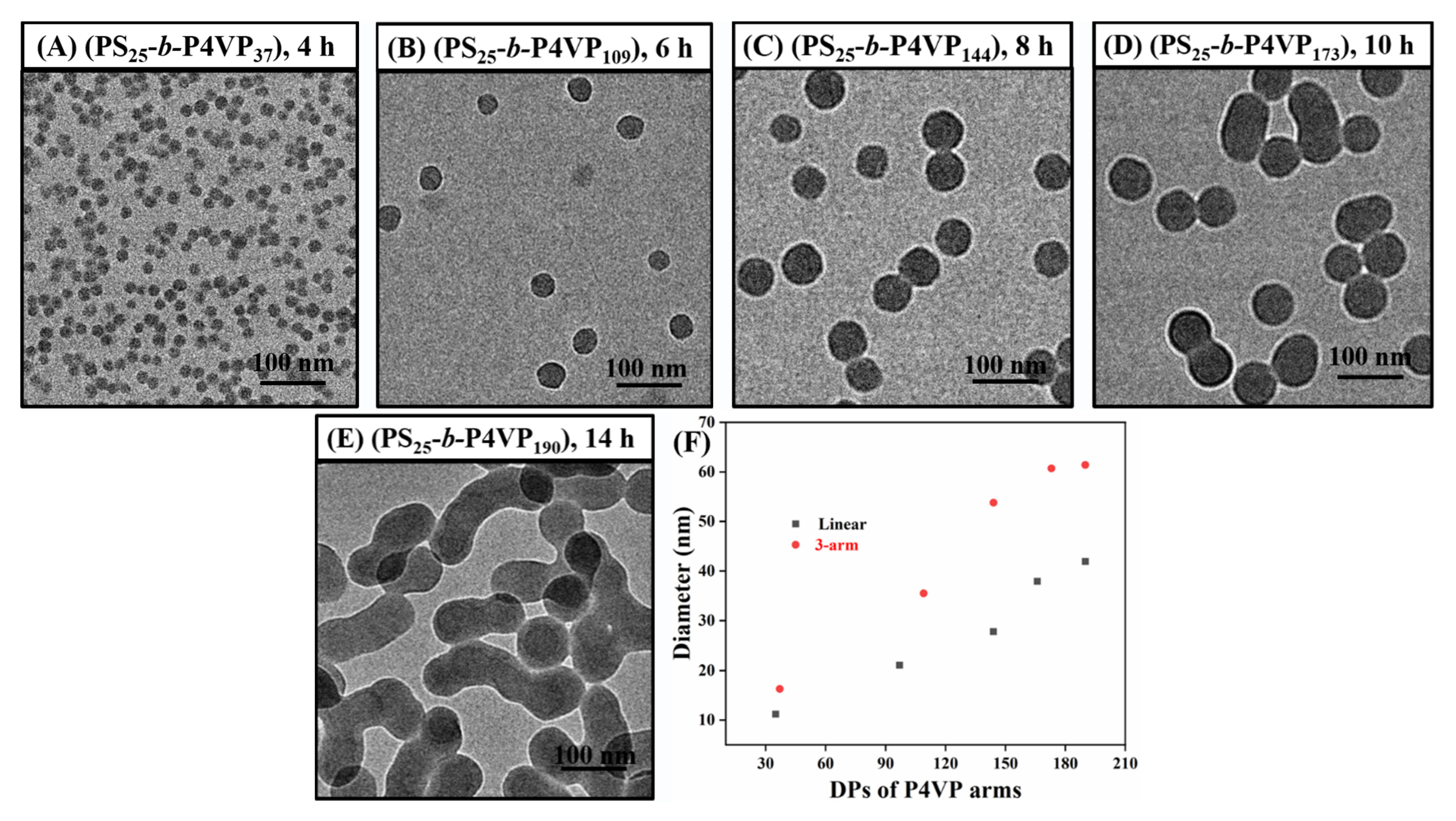 Polymers 14 03691 g006