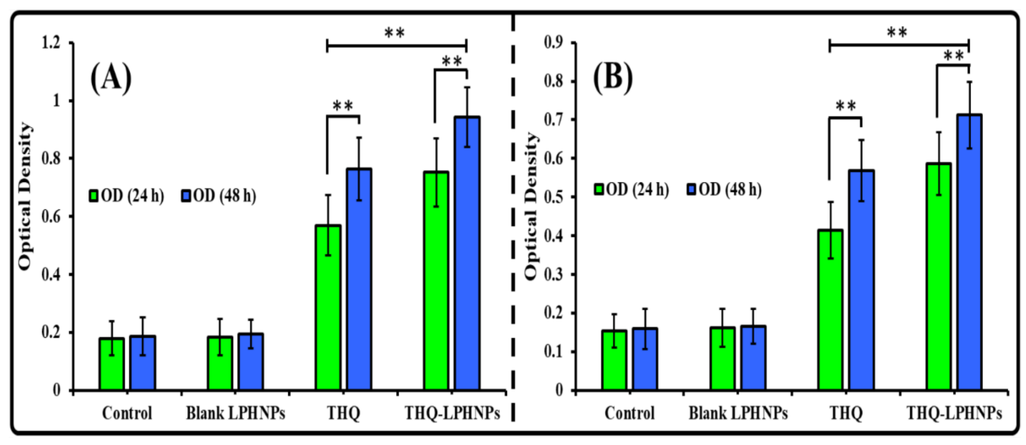 Polymers 14 03705 g009