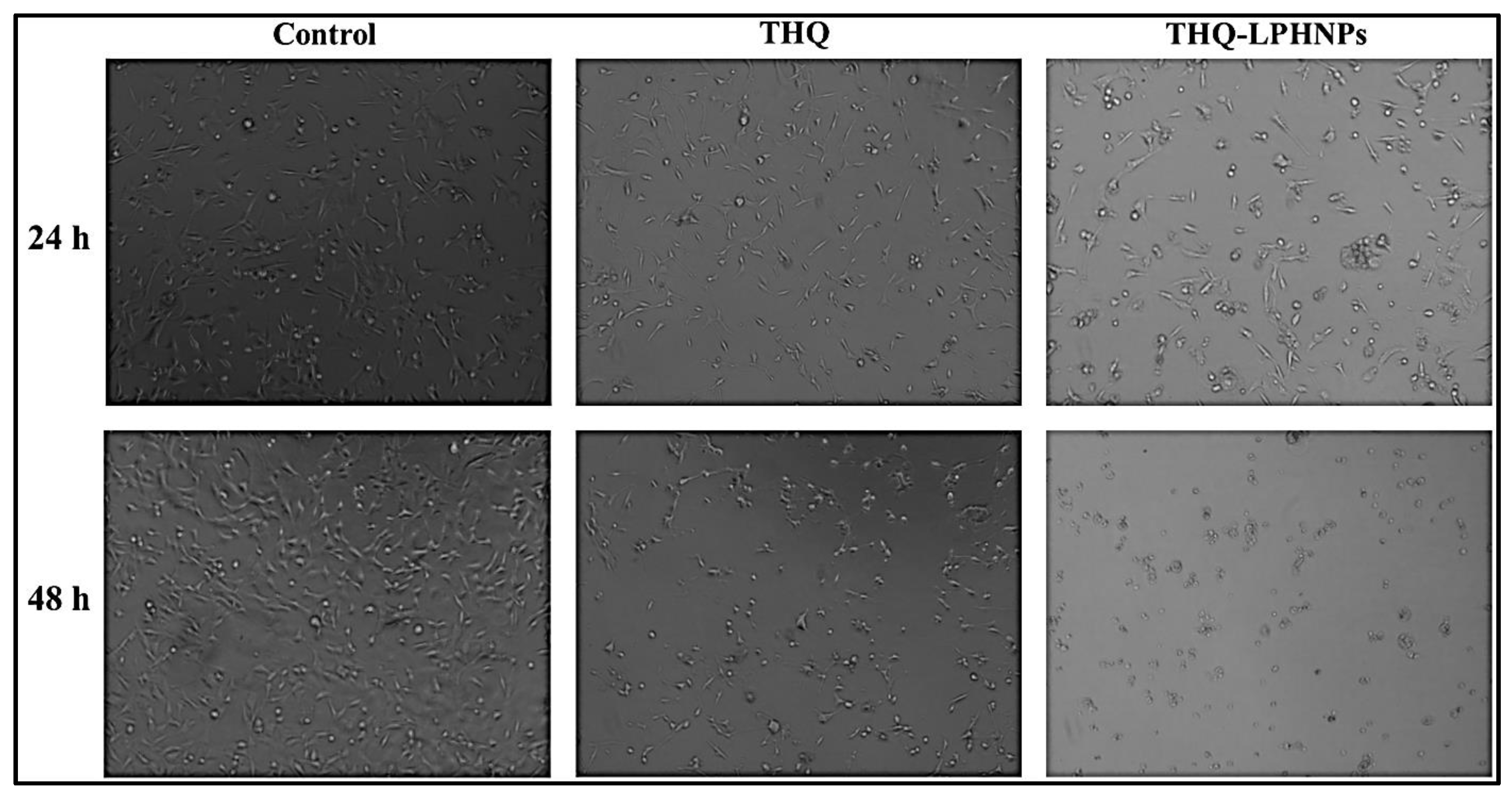 Polymers 14 03705 g010