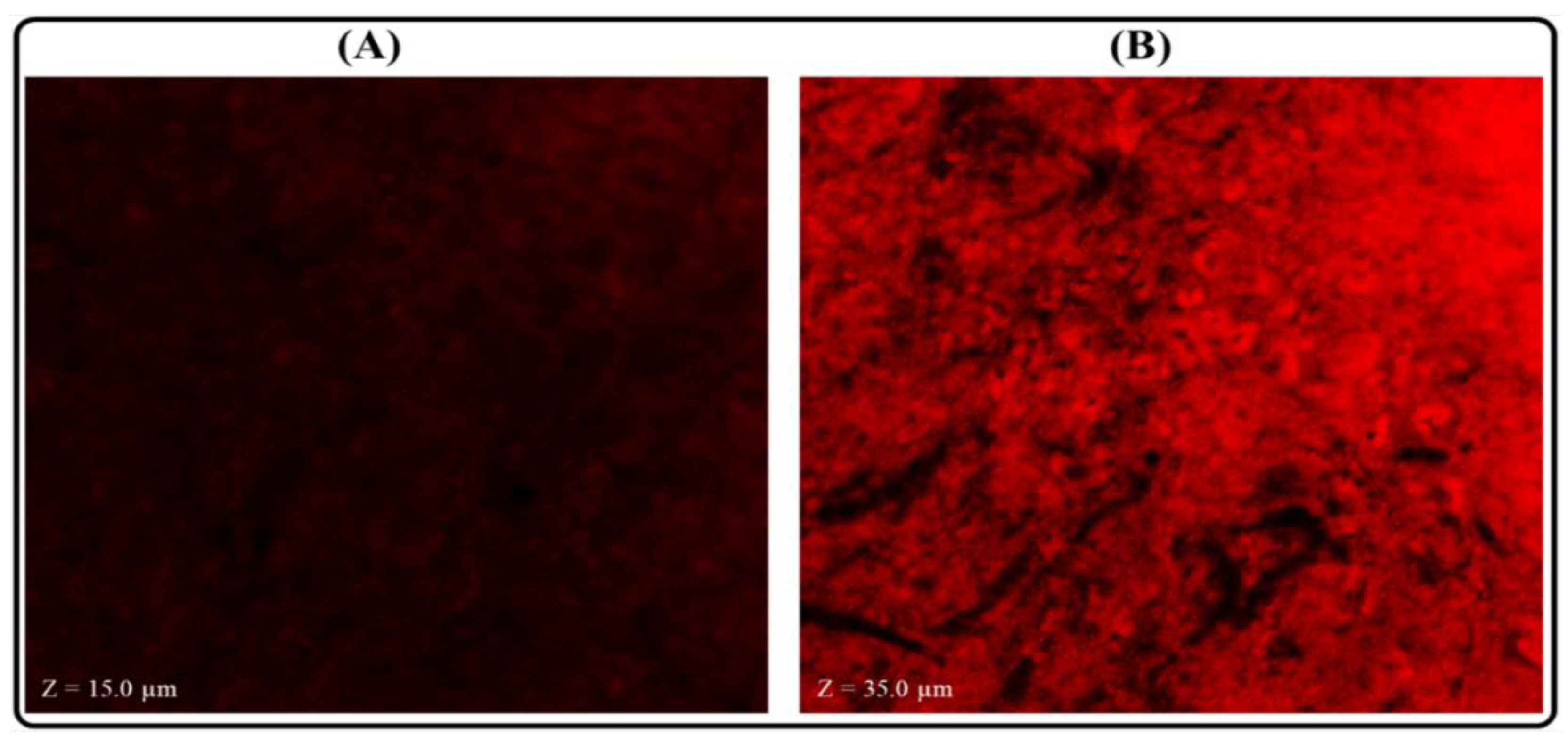 Polymers 14 03705 g013