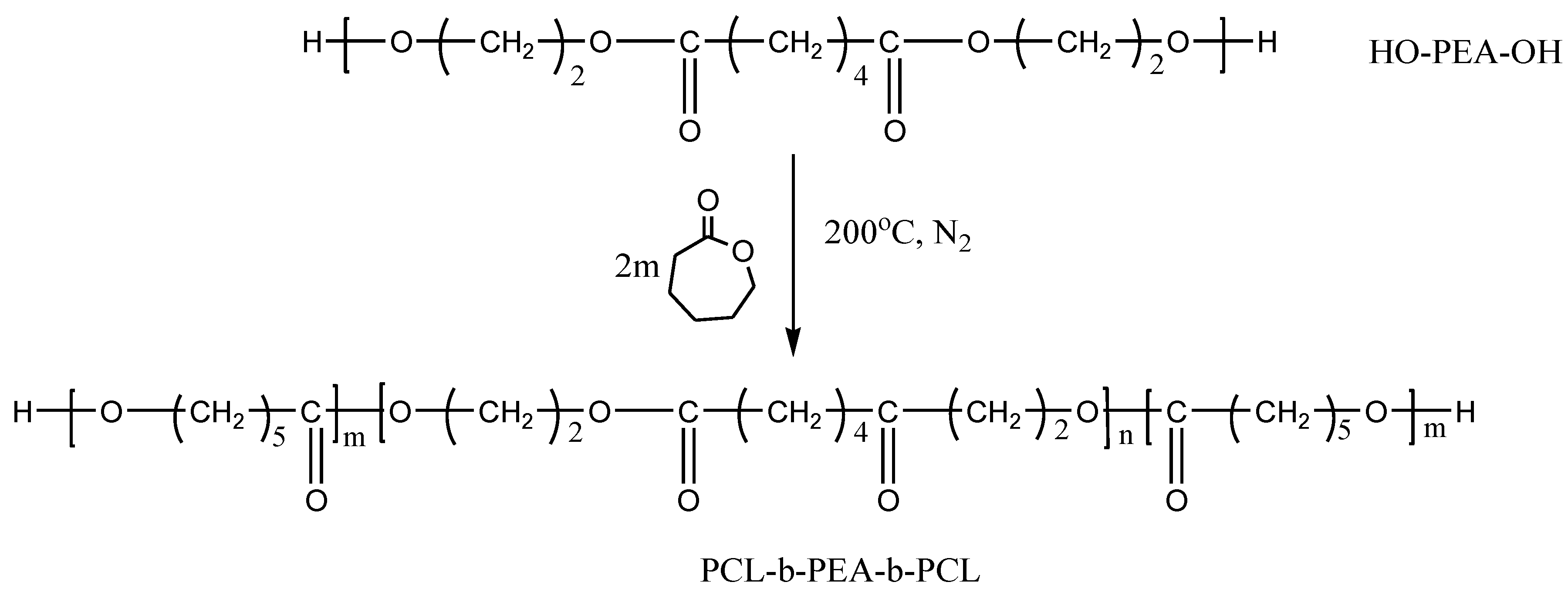 Polymers 14 03736 sch002