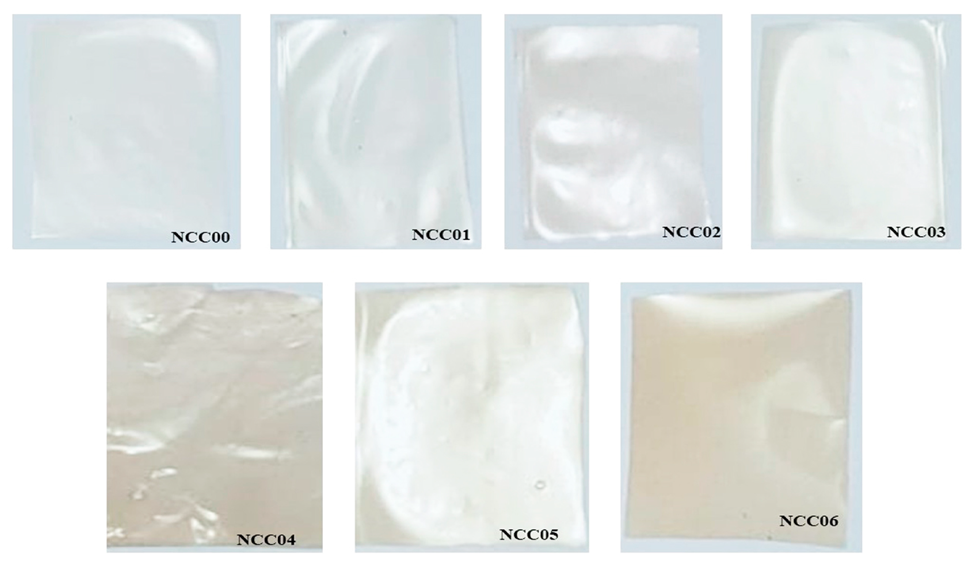 Polymers 14 03738 g006