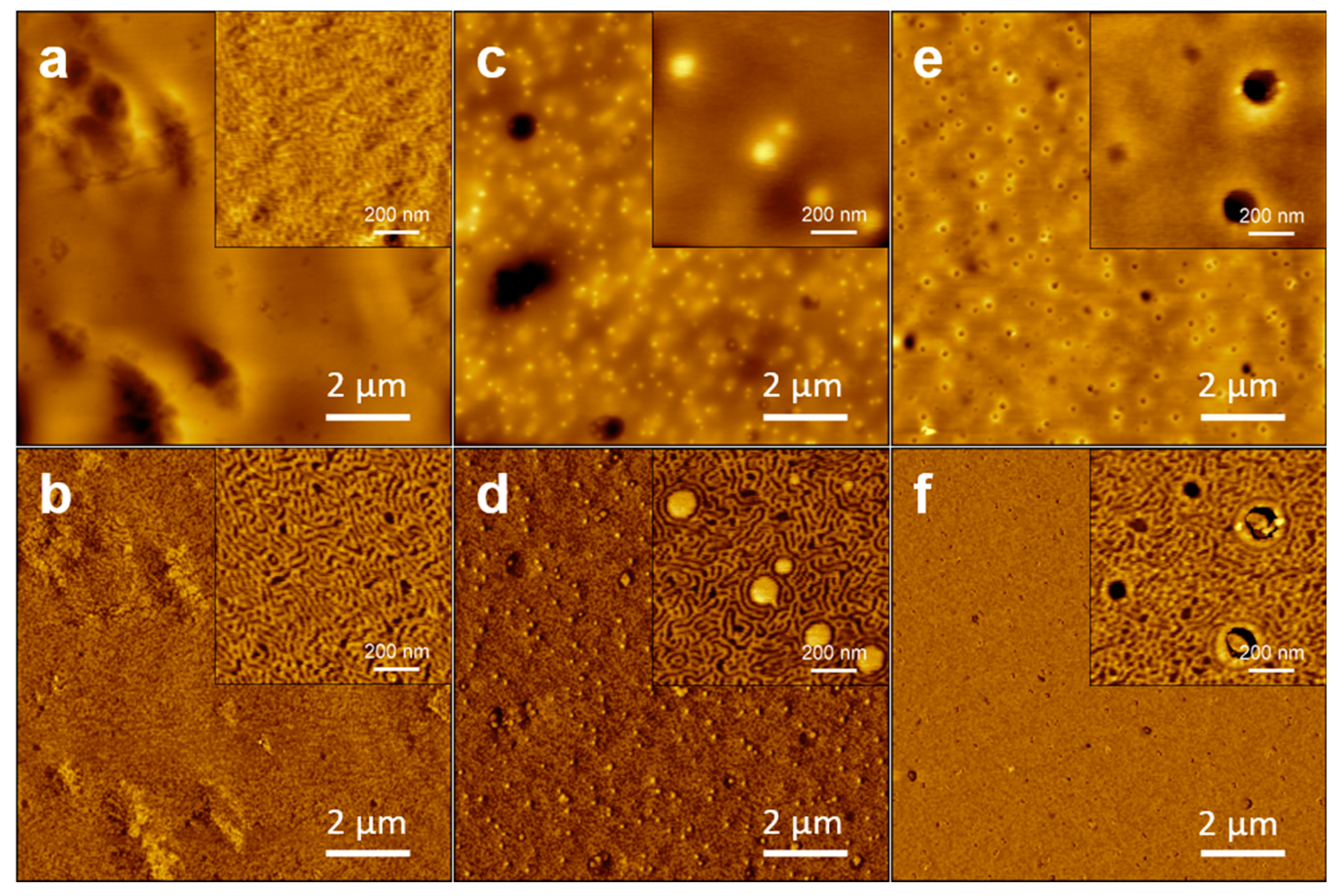 Polymers 14 03742 g005