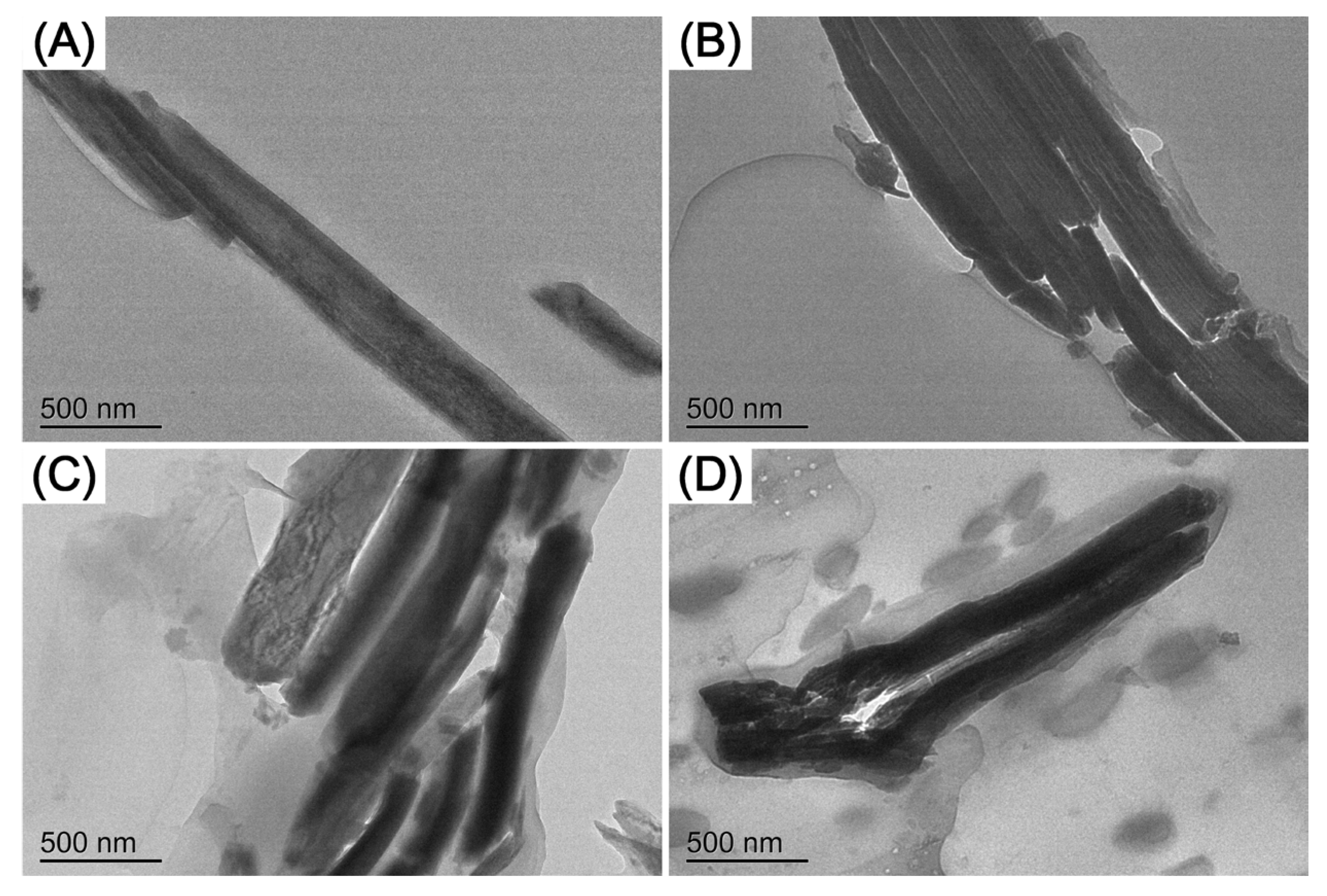 Polymers 14 03748 g003