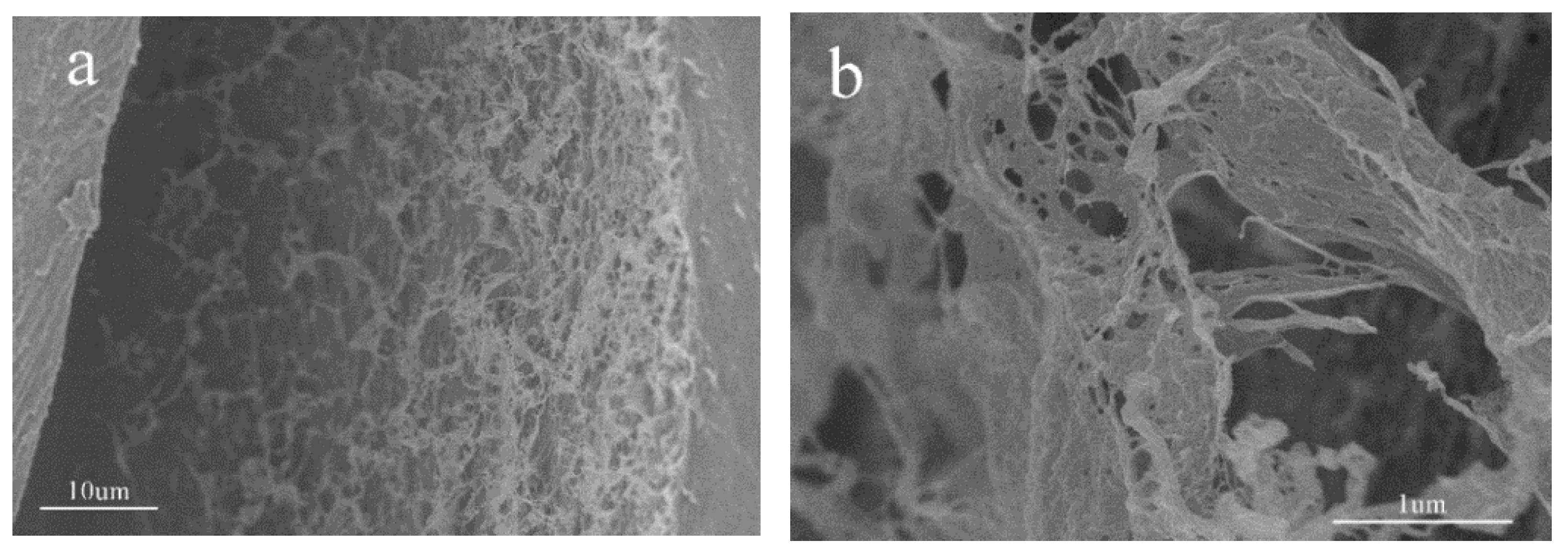 Polymers 14 03801 g004a