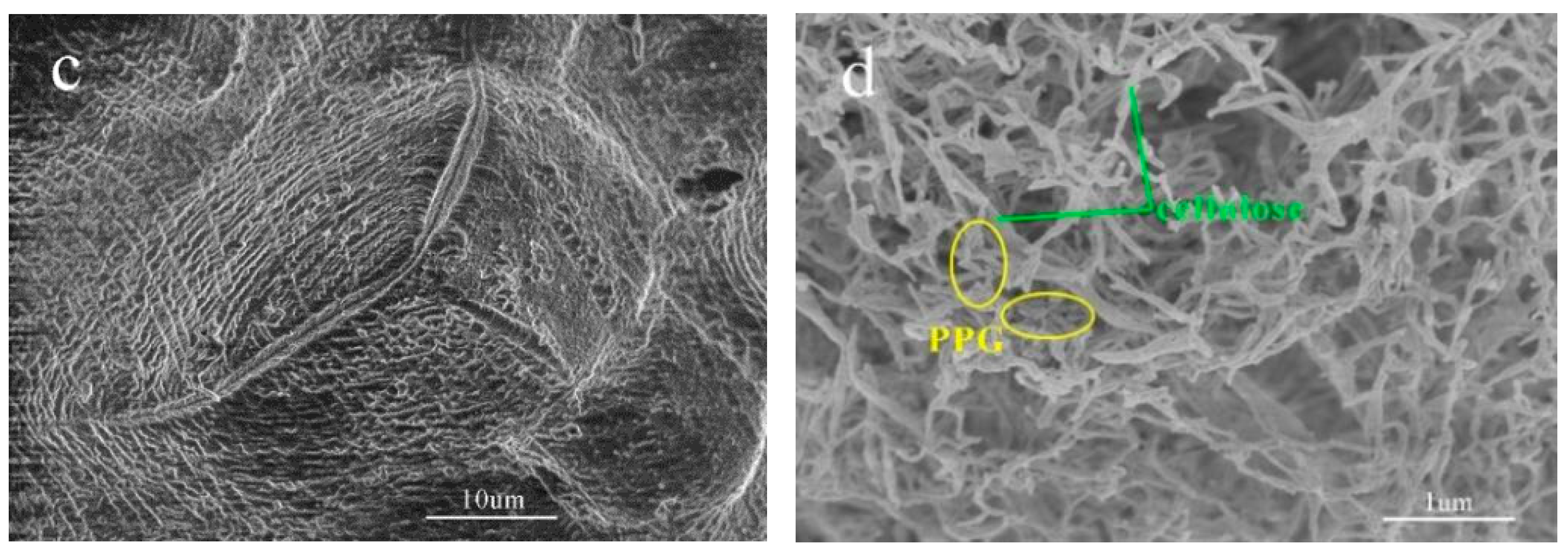 Polymers 14 03801 g004b