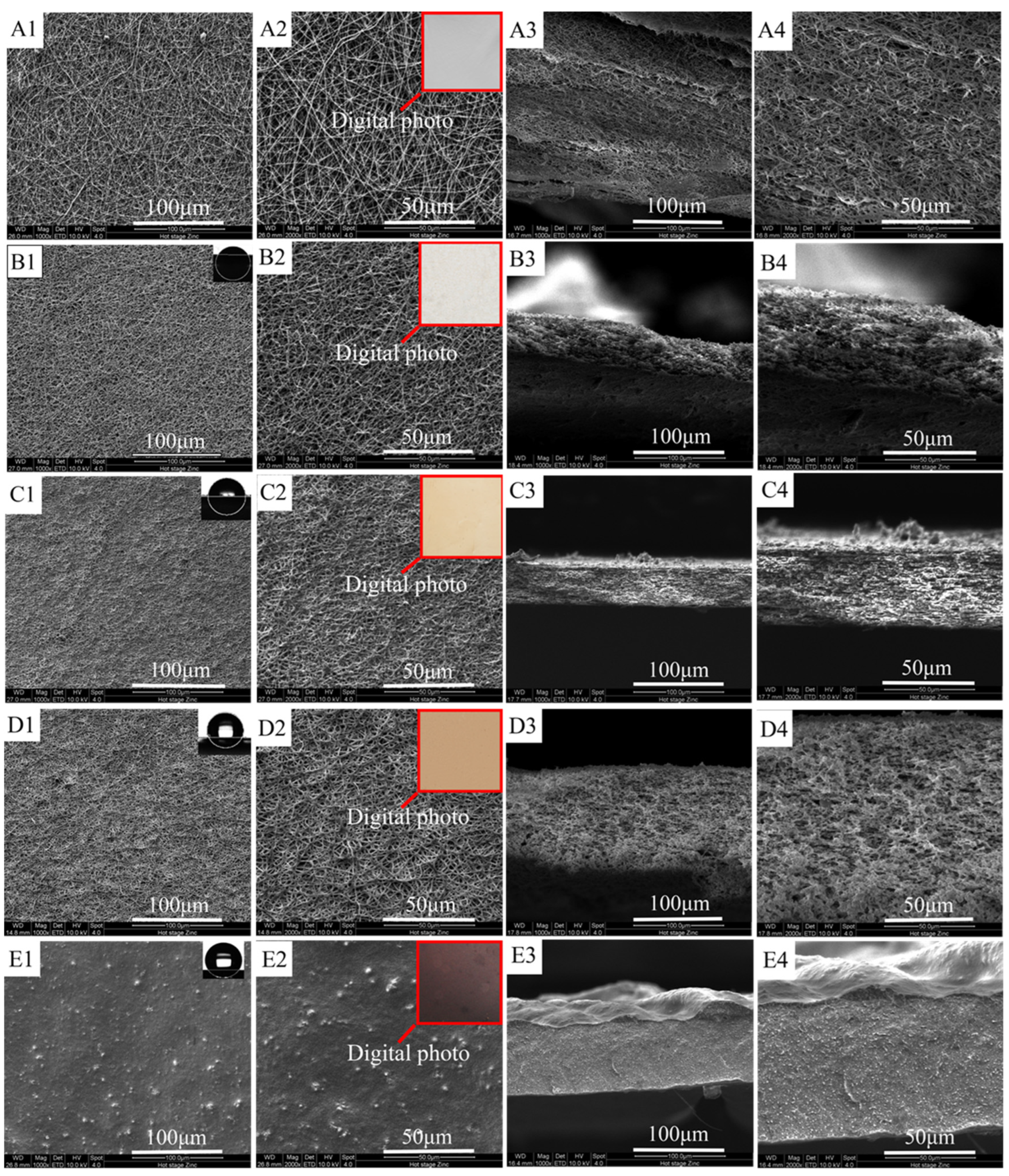 Polymers 14 03802 g006