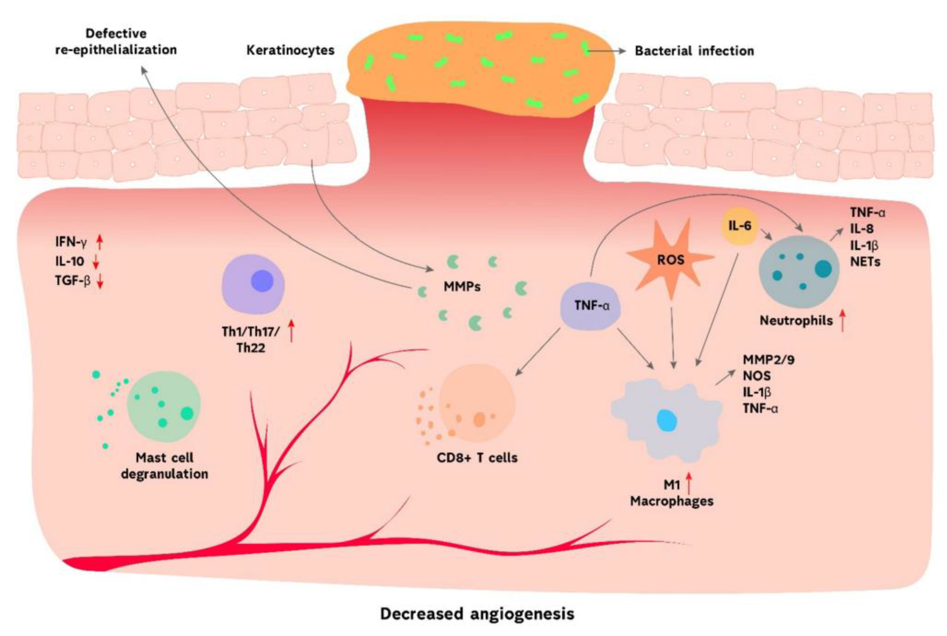 Polymers 14 03806 g002 Polymers 14 03806 g002