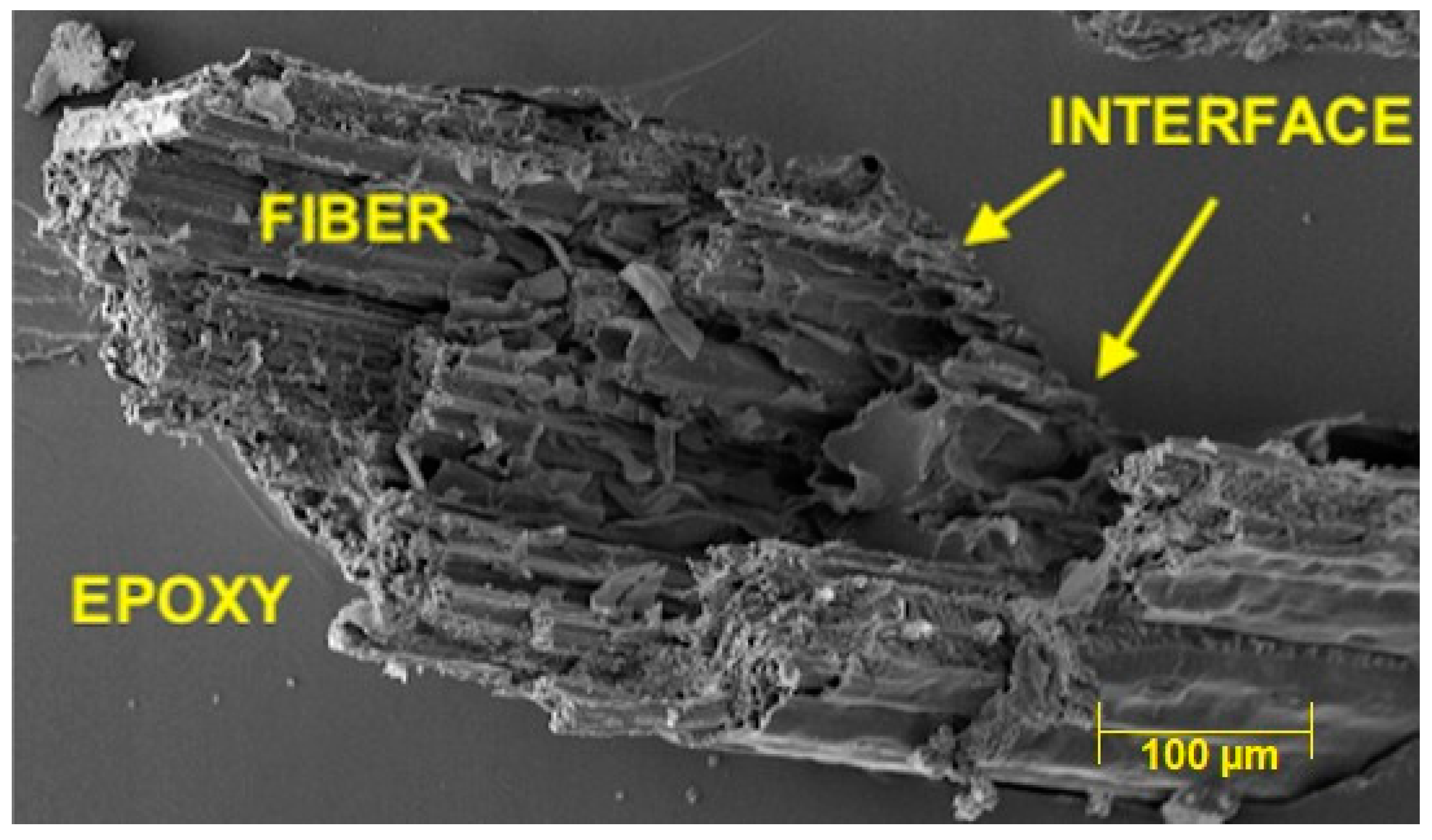 Polymers 14 03807 g008