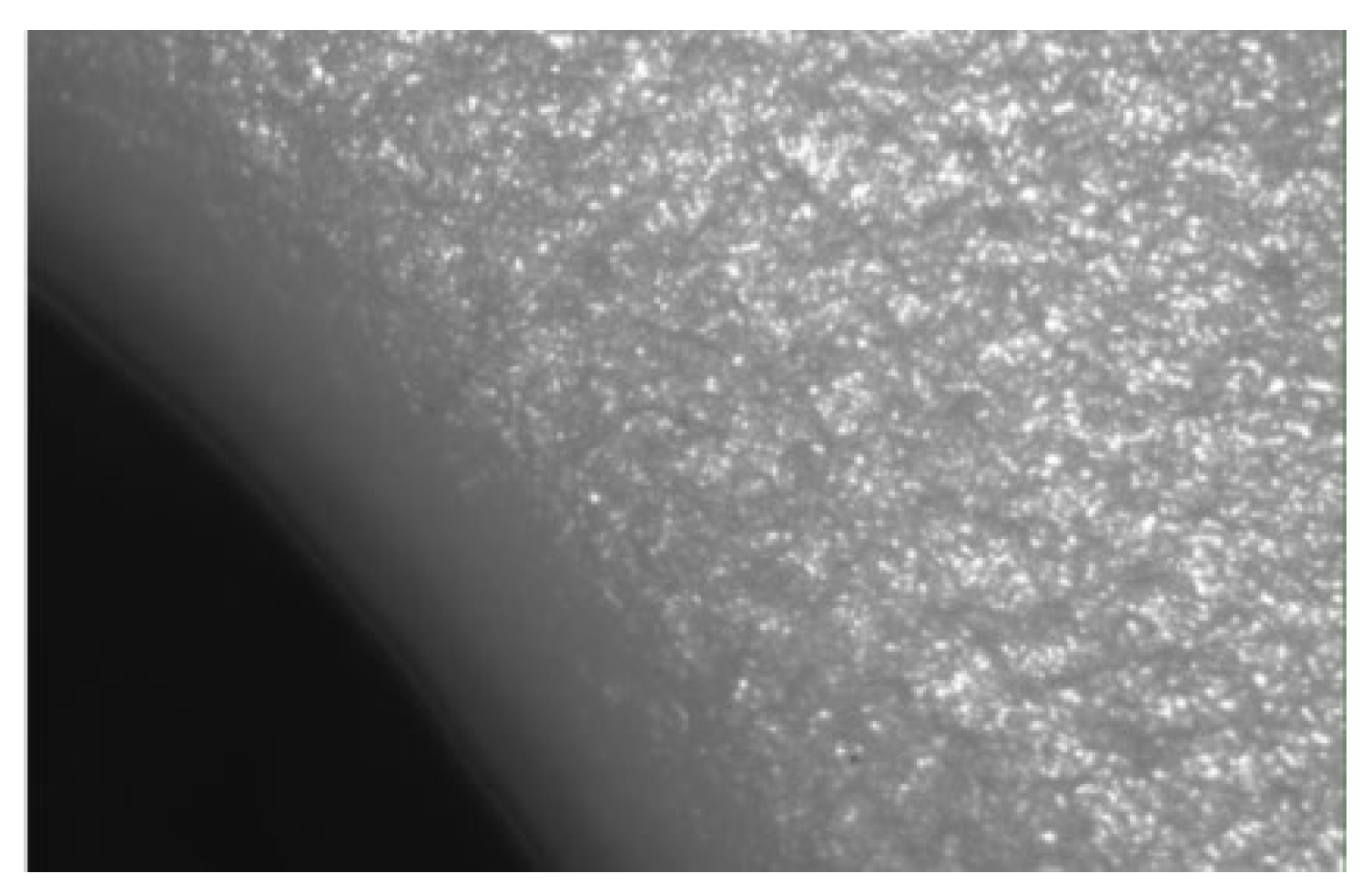 Polymers 14 03811 g005 Polymers 14 03811 g005