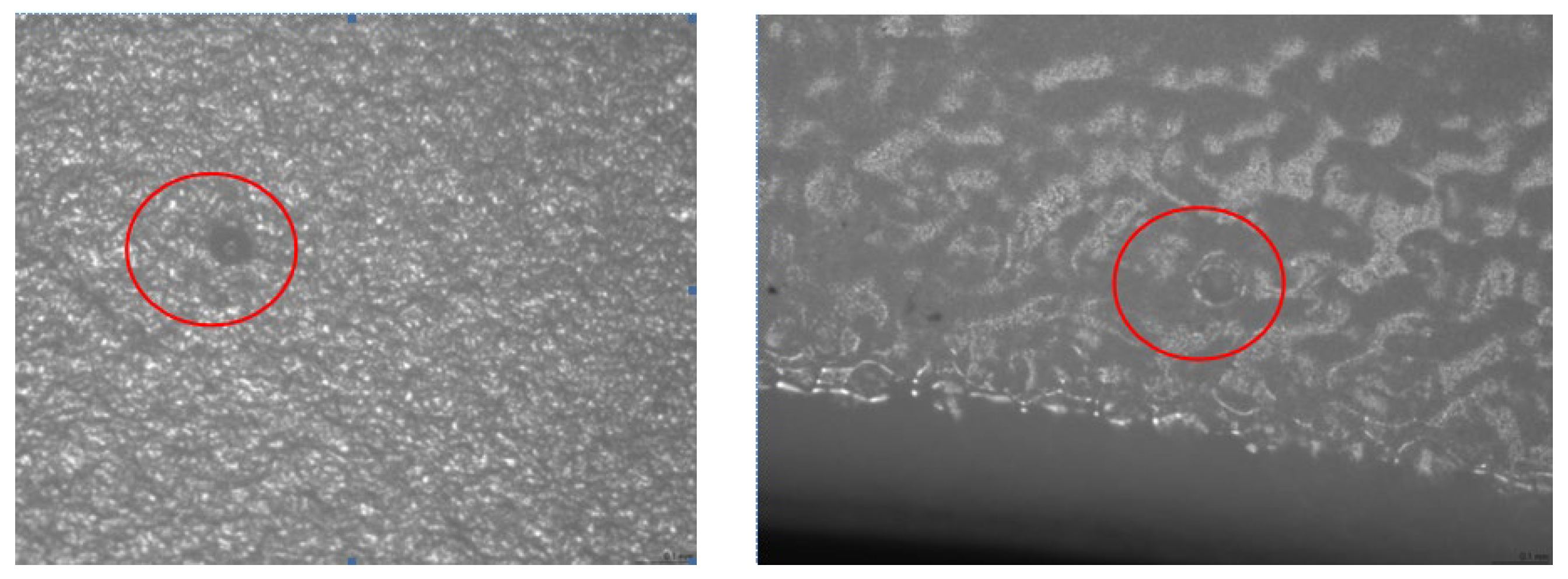 Polymers 14 03811 g015 Polymers 14 03811 g015