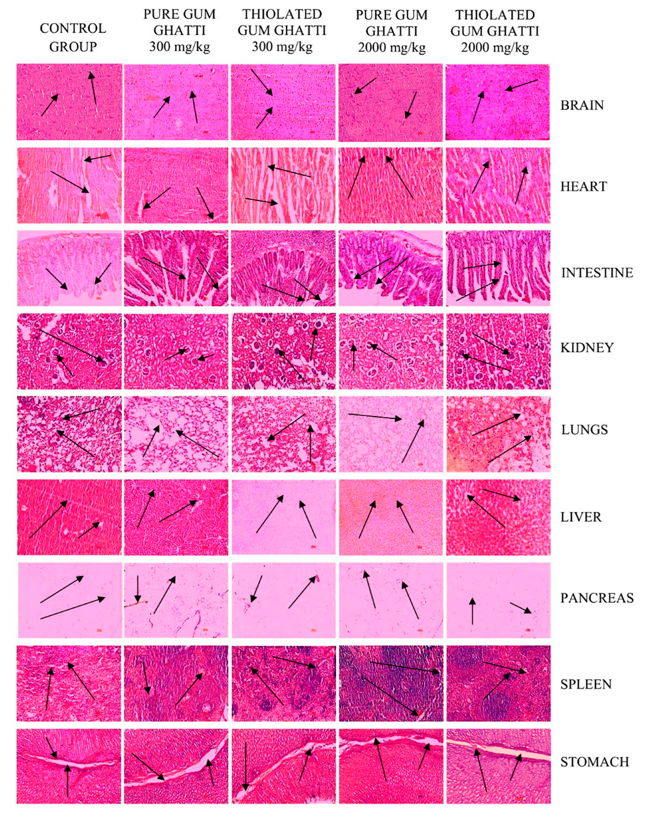 Polymers 14 03836 g003