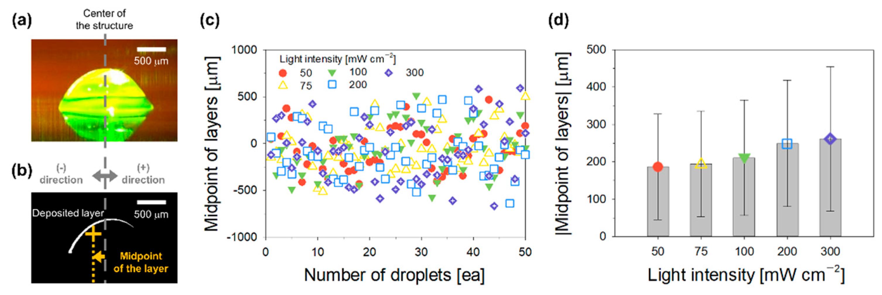 Polymers 14 03839 g003