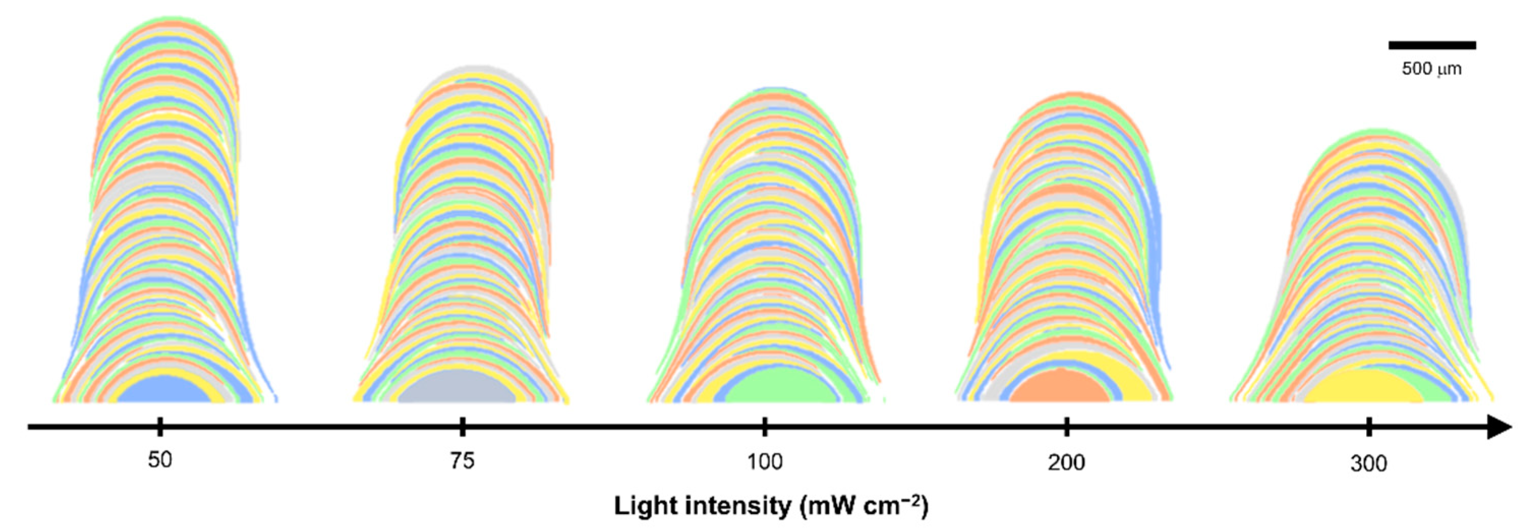 Polymers 14 03839 g004