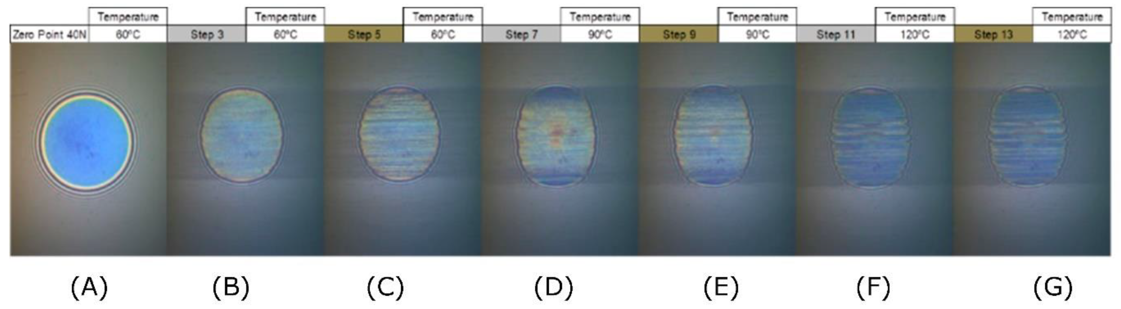 Polymers 14 03841 g006