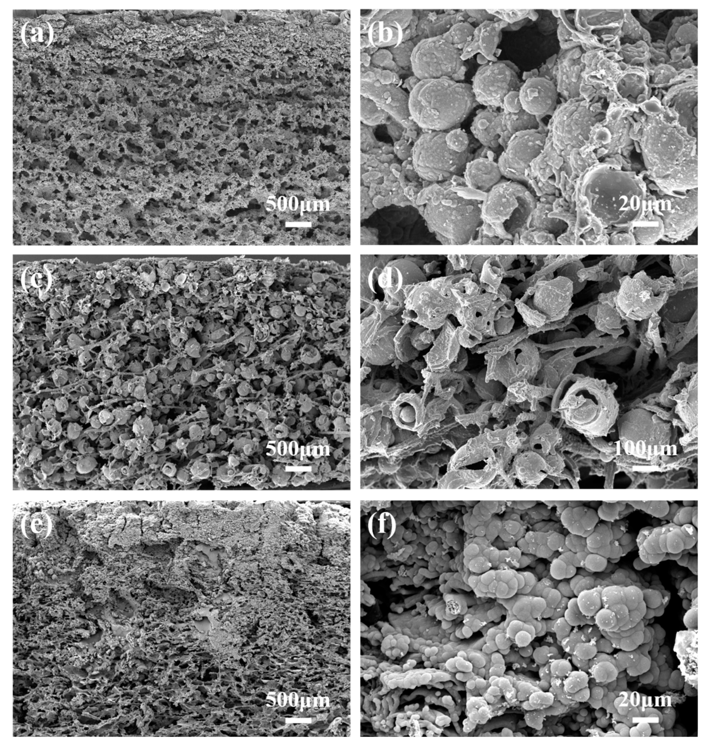 Polymers 14 03846 g008