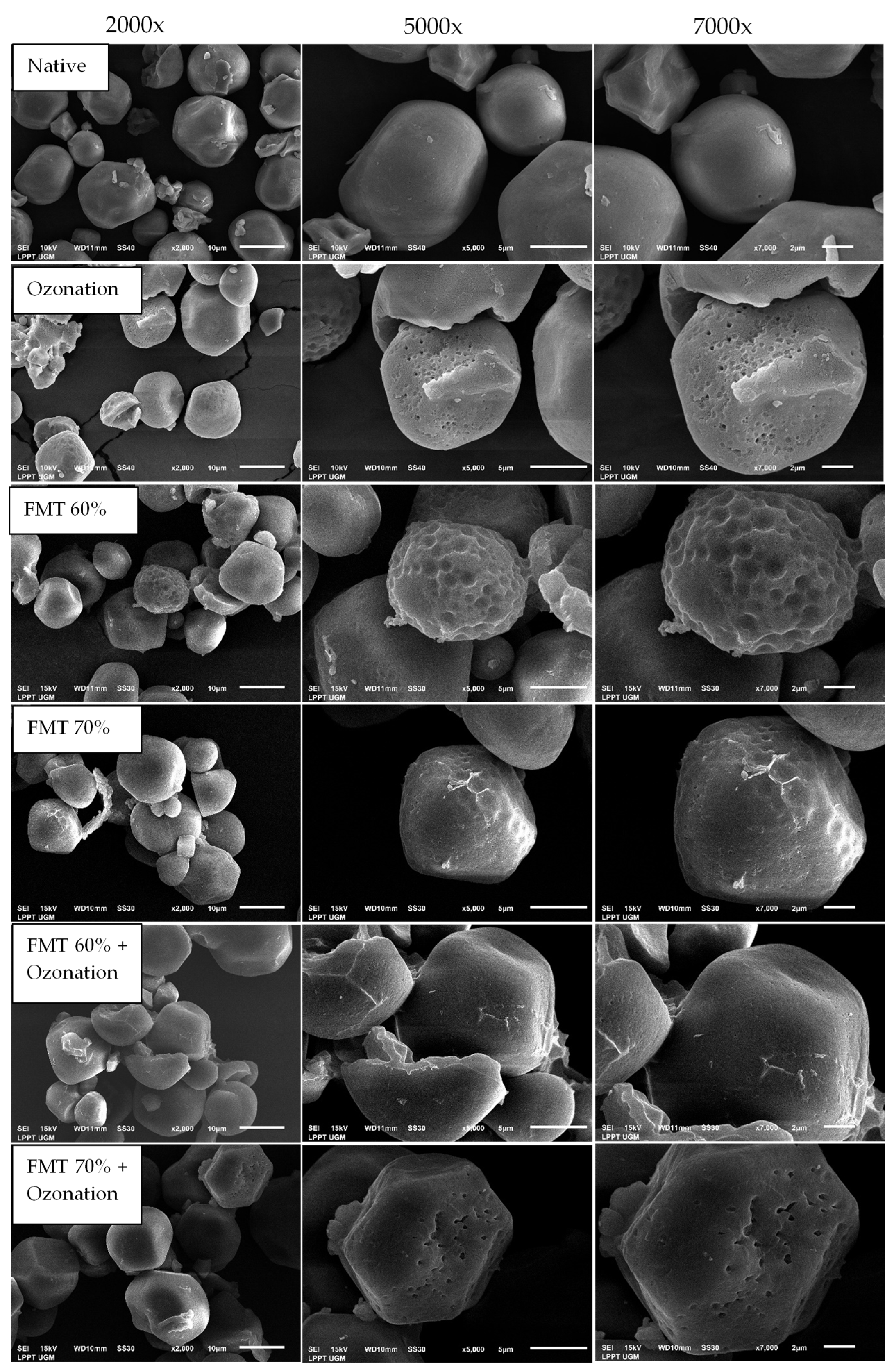 Polymers 14 03854 g006