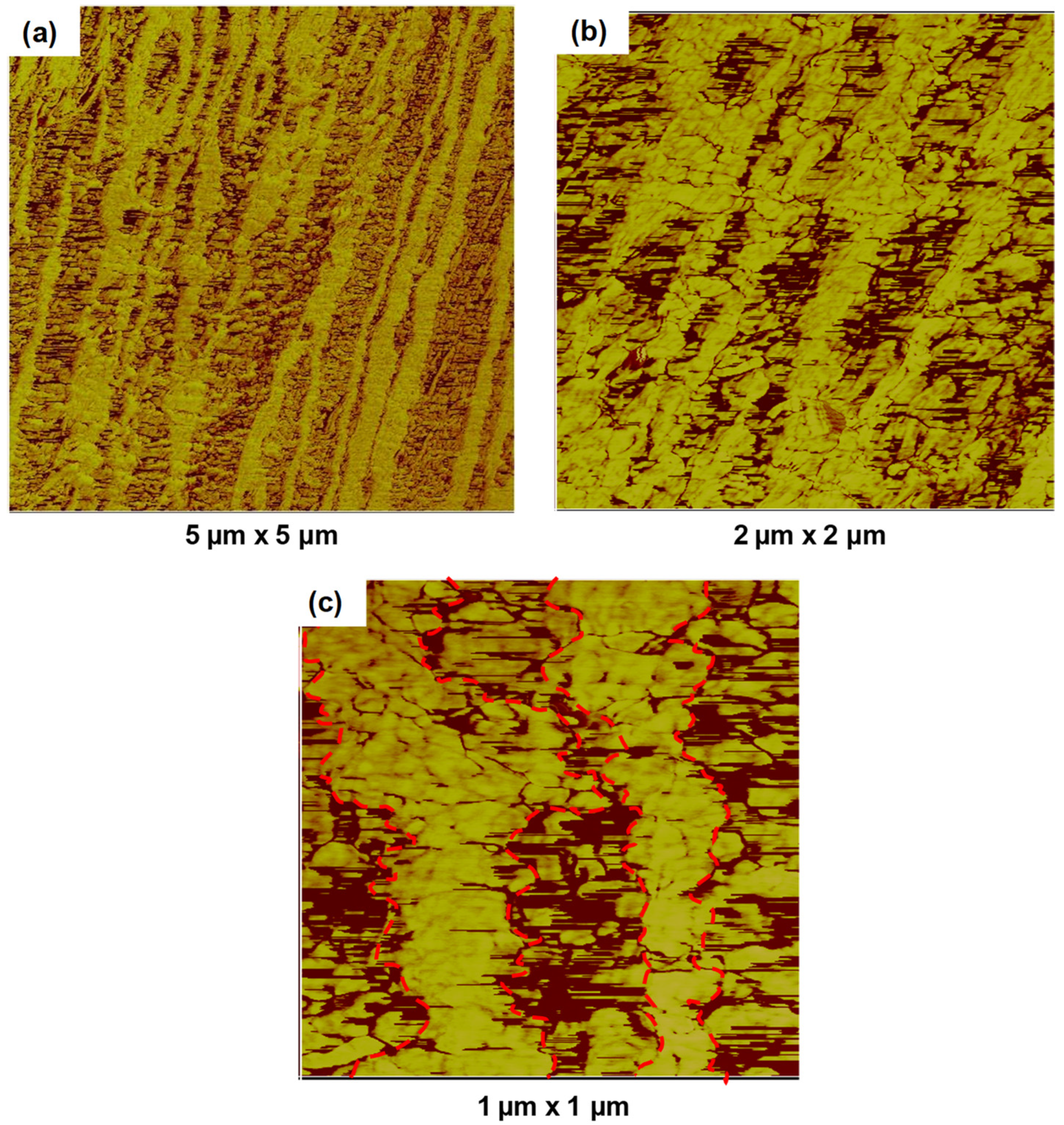 Polymers 14 03872 g002