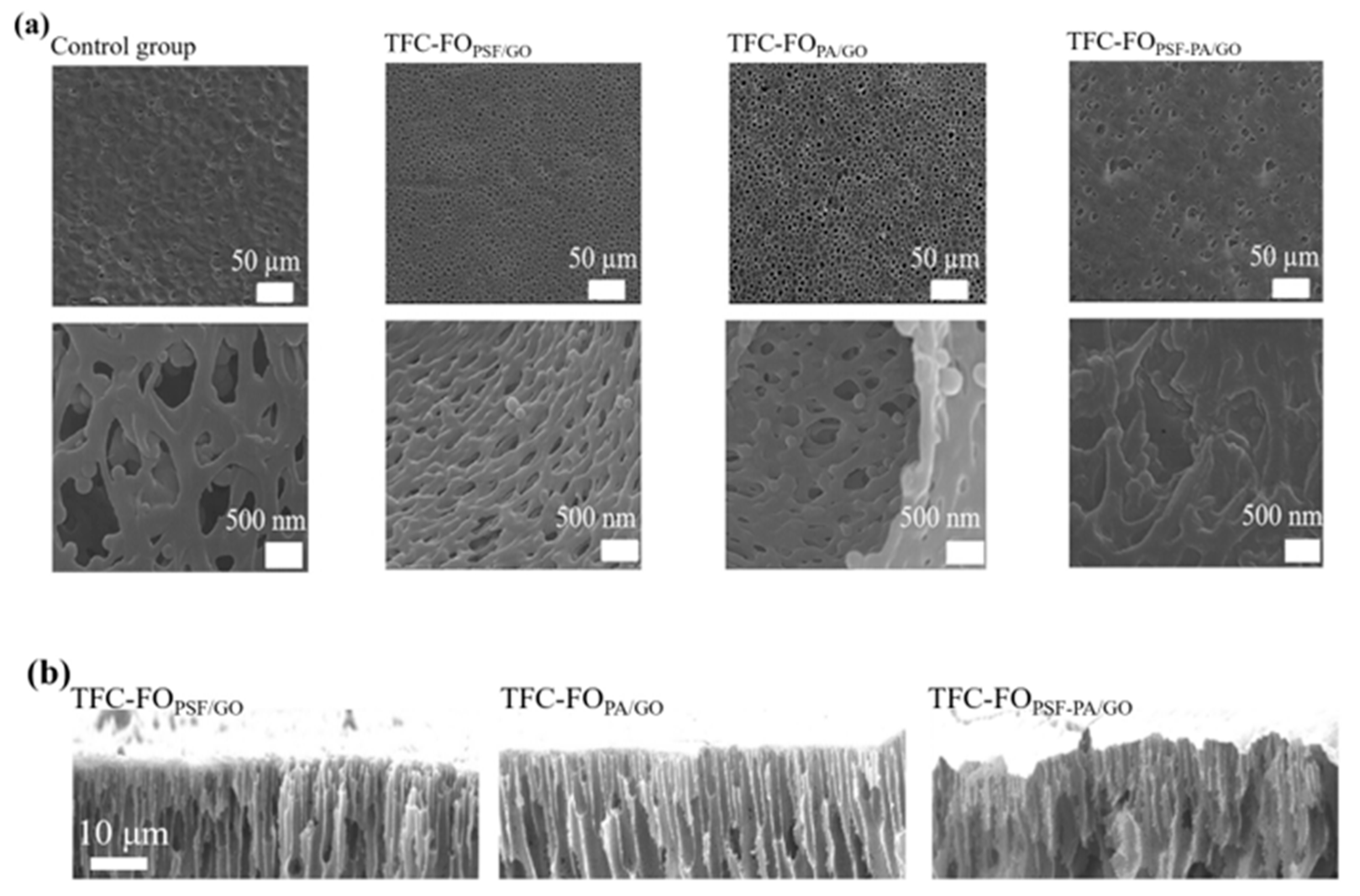 Polymers 14 03874 g001