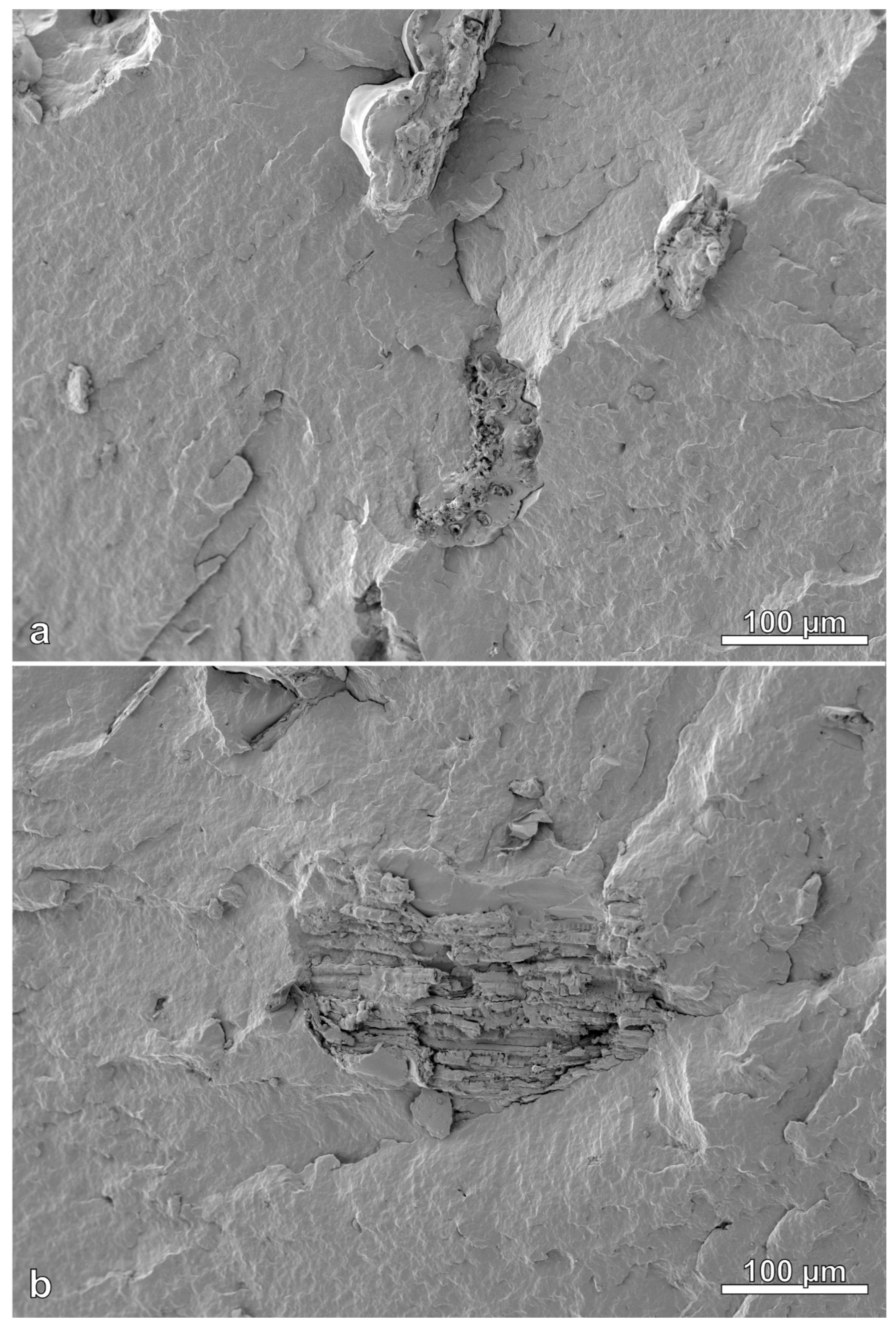 Polymers 14 03882 g013