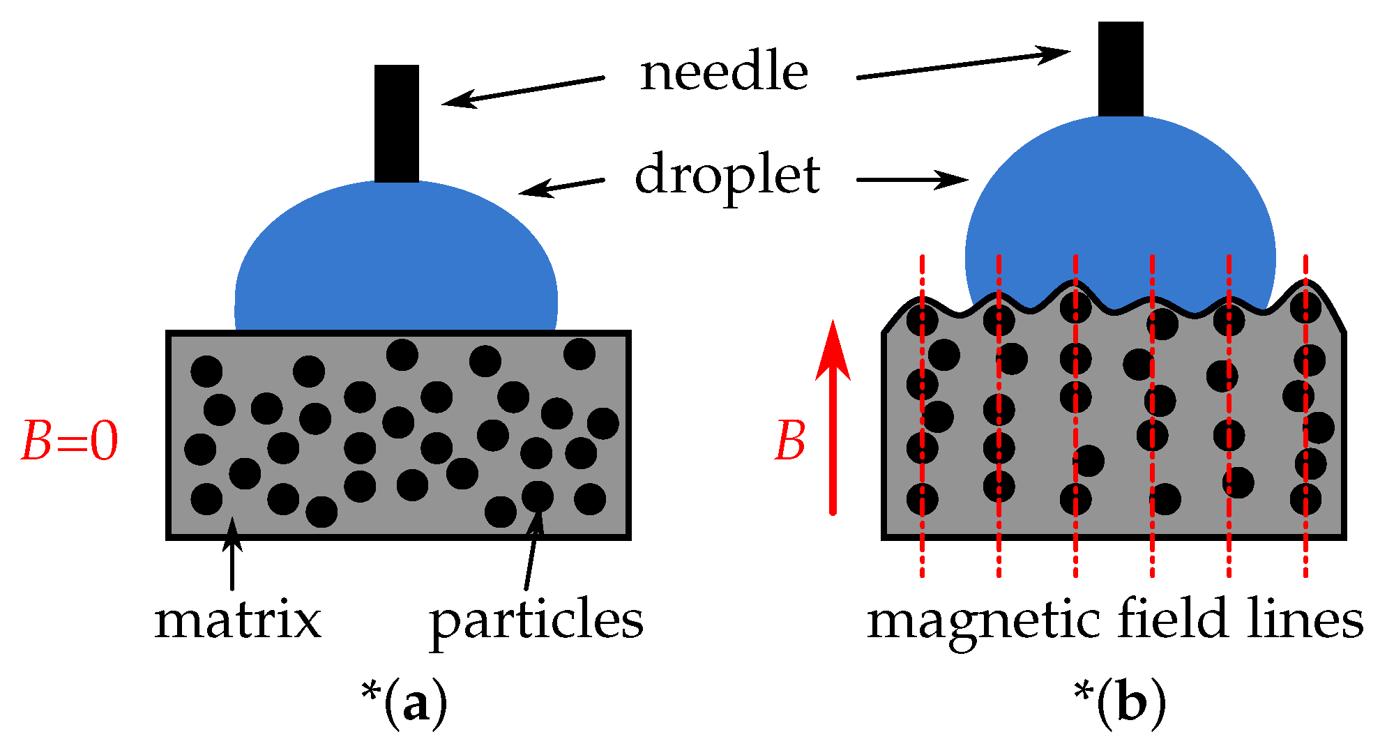 Polymers 14 03883 g001