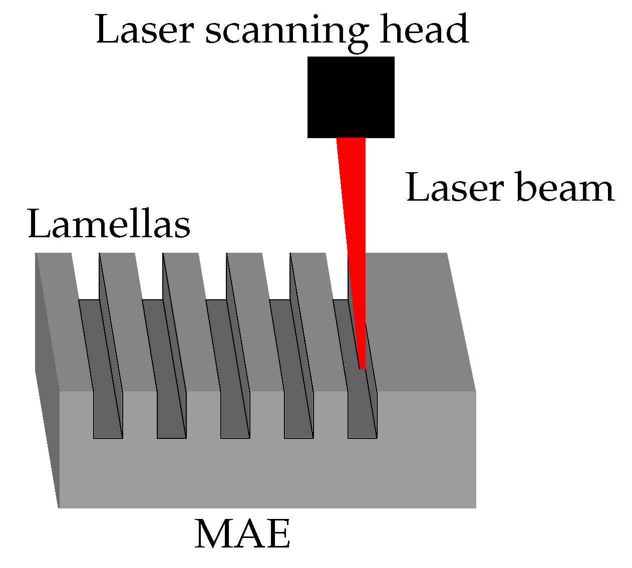 Polymers 14 03883 g004