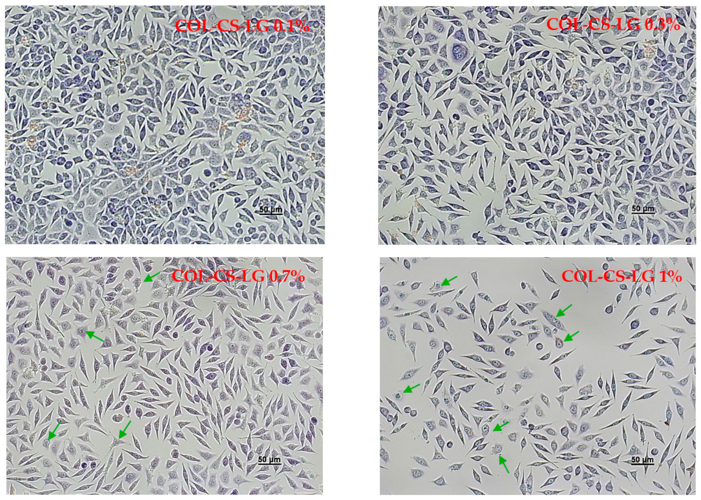 Polymers 14 03884 g004b