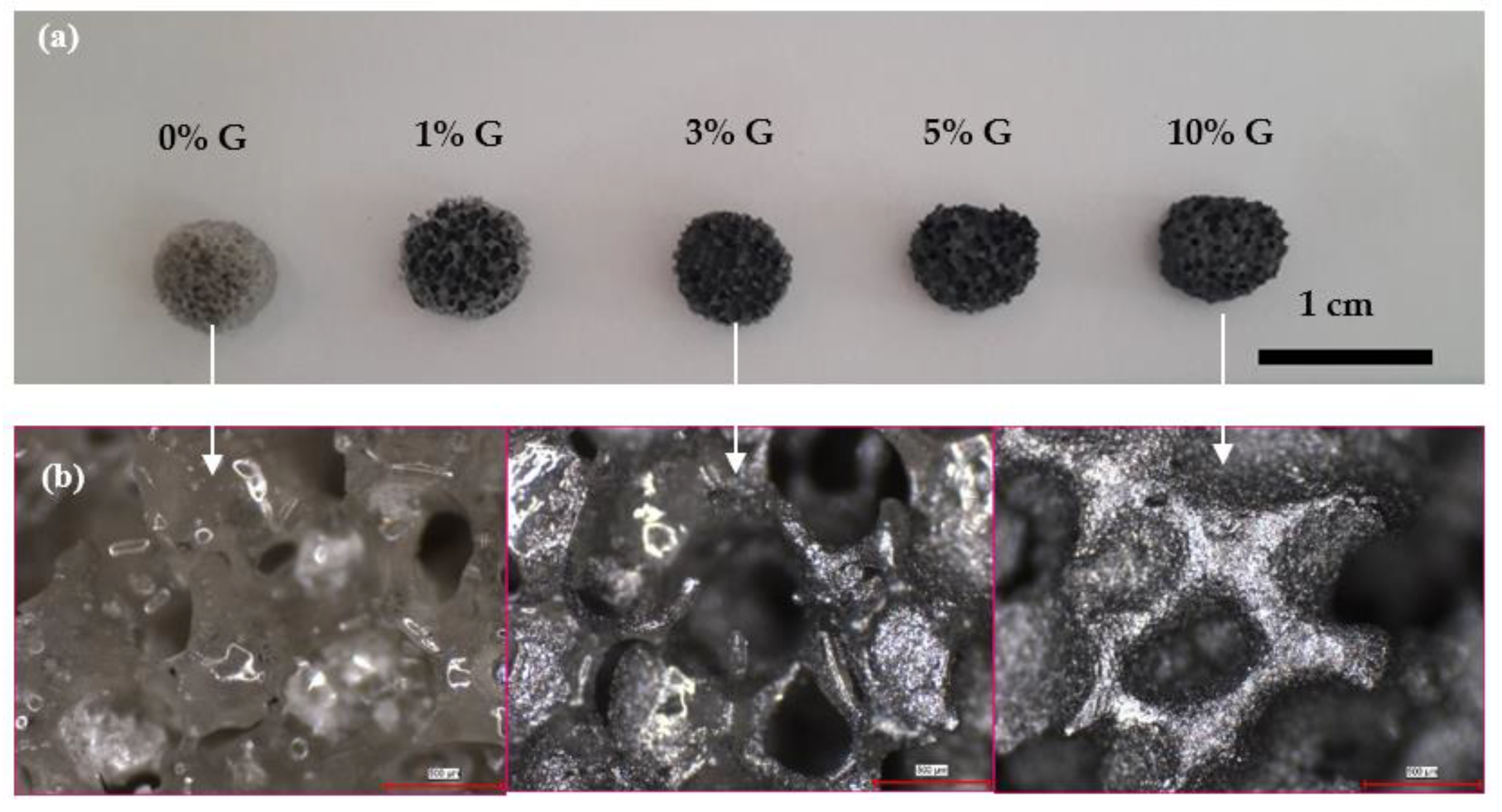 Polymers 14 03898 g002