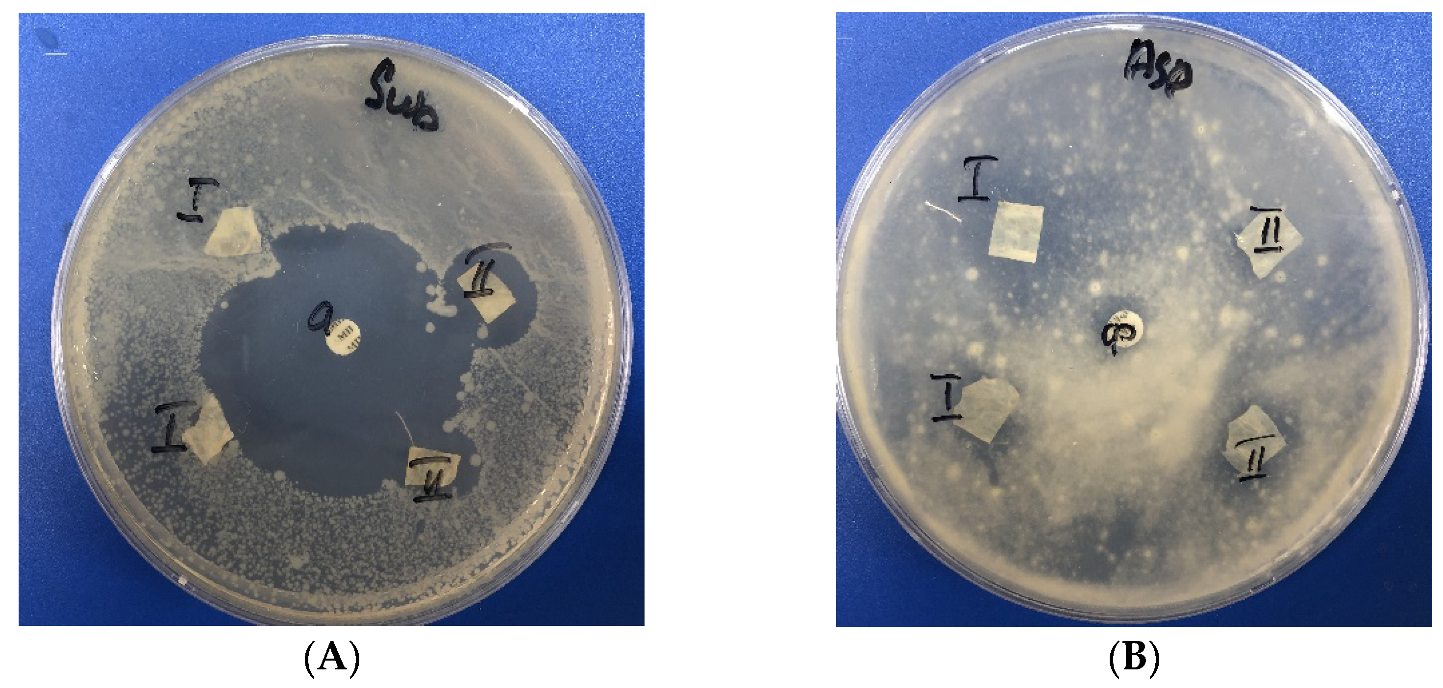 Polymers 14 03907 g008
