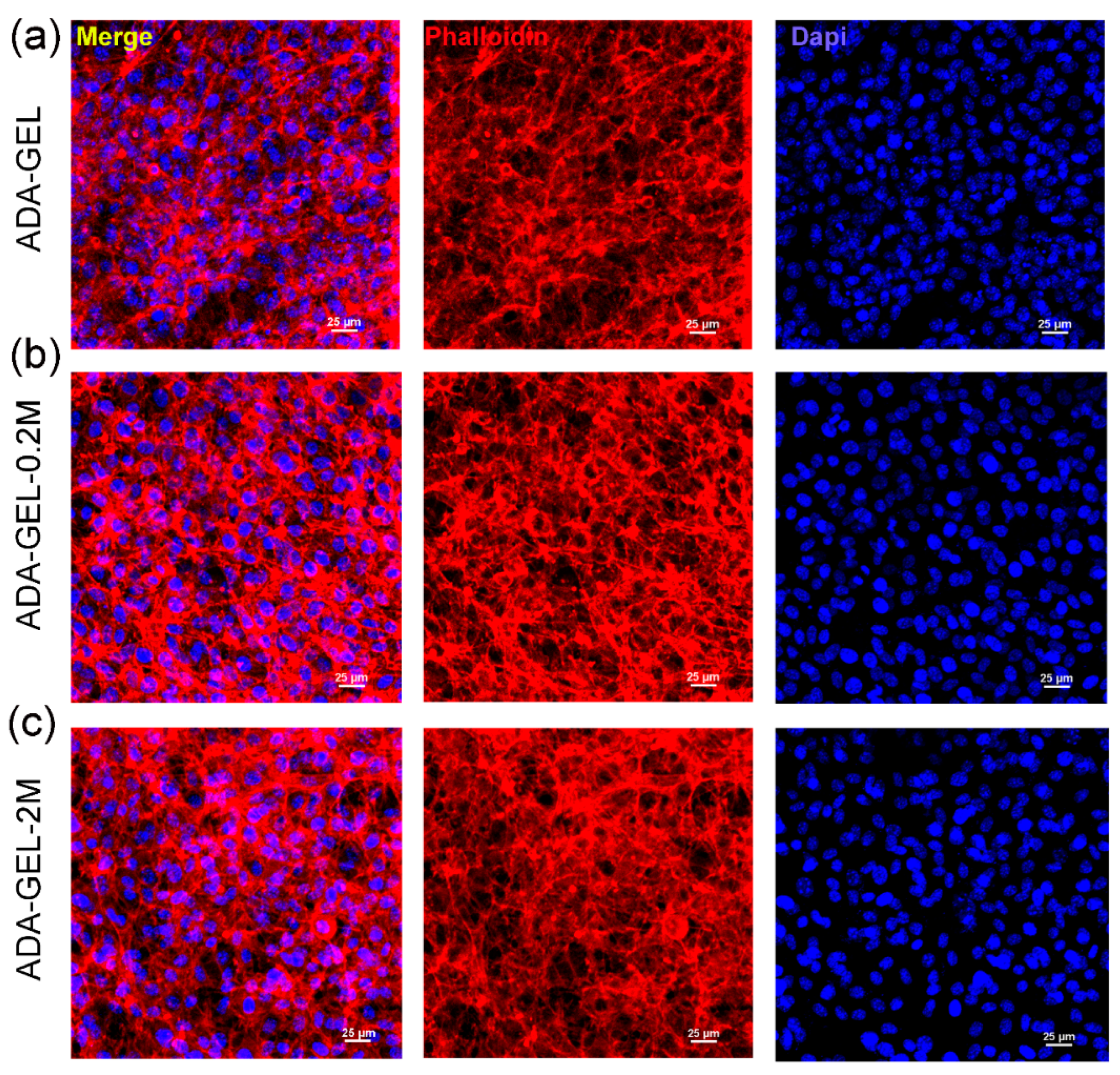 Polymers 14 03908 g005