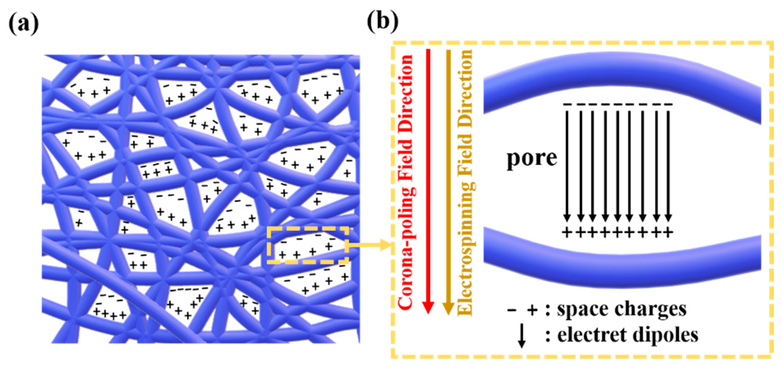 Polymers 14 03912 g003