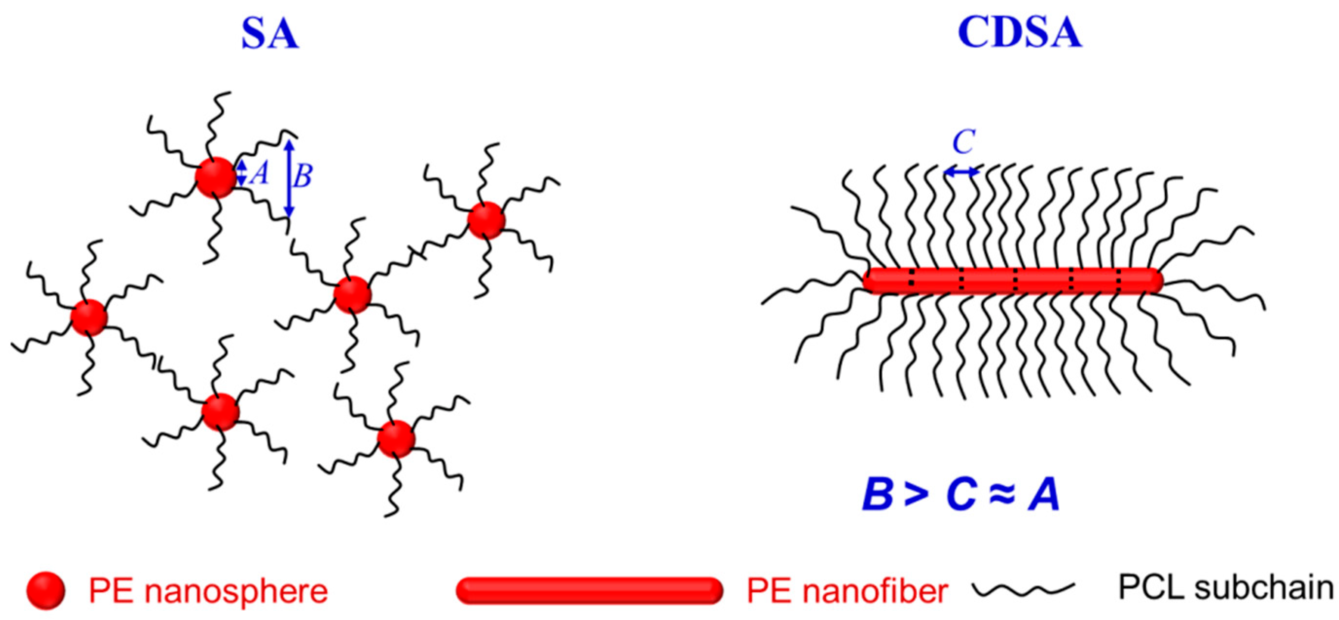 Polymers 14 03921 sch003