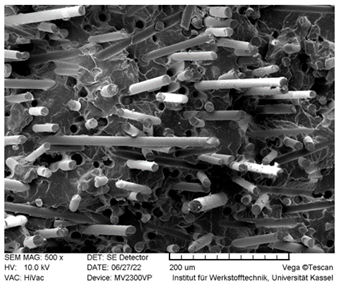 Polymers 14 03929 i001