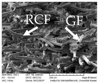 Polymers 14 03929 i003
