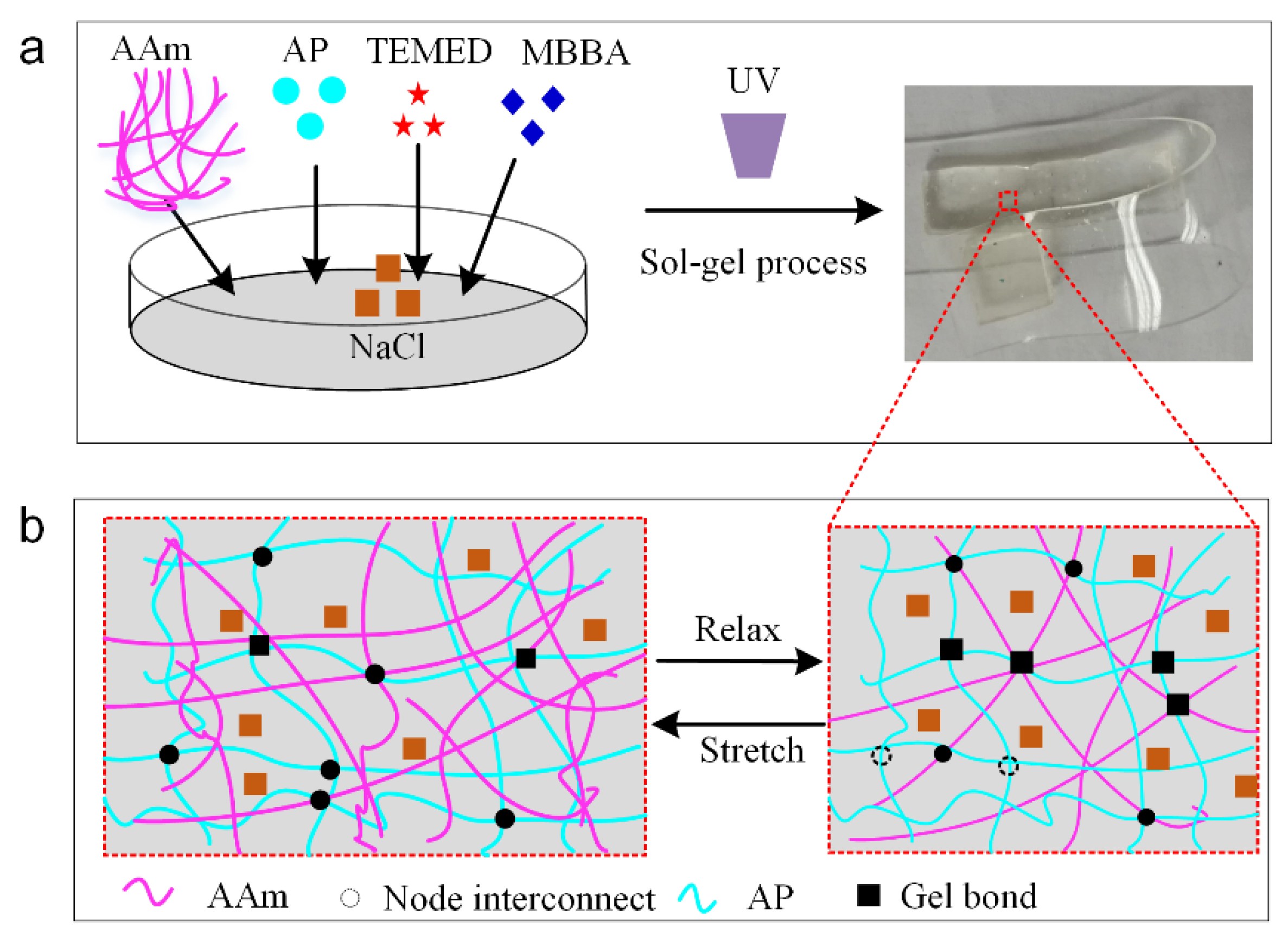 Polymers 14 03930 g002 Polymers 14 03930 g002