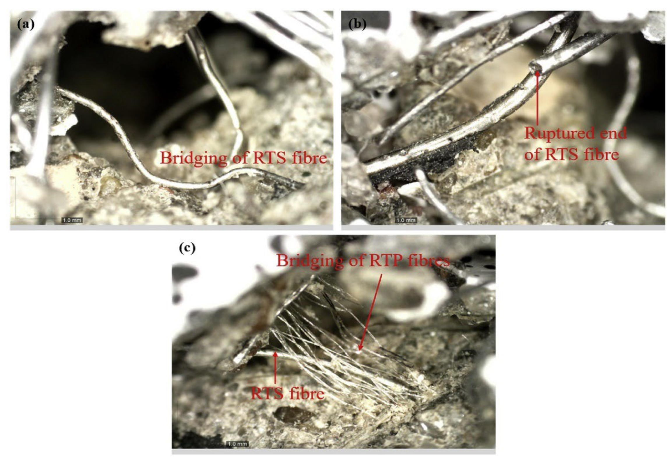 Polymers 14 03933 g010