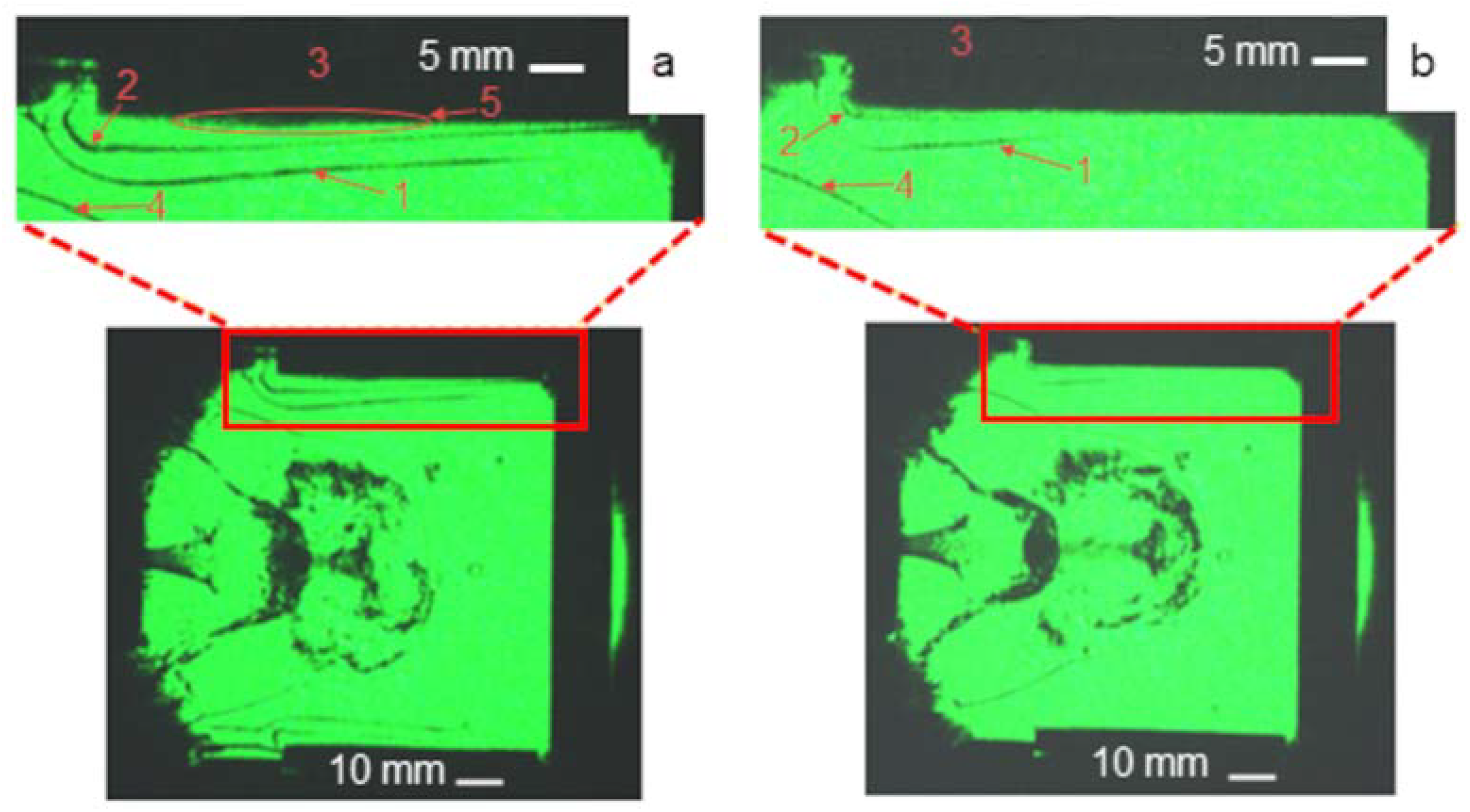 Polymers 14 03940 g006